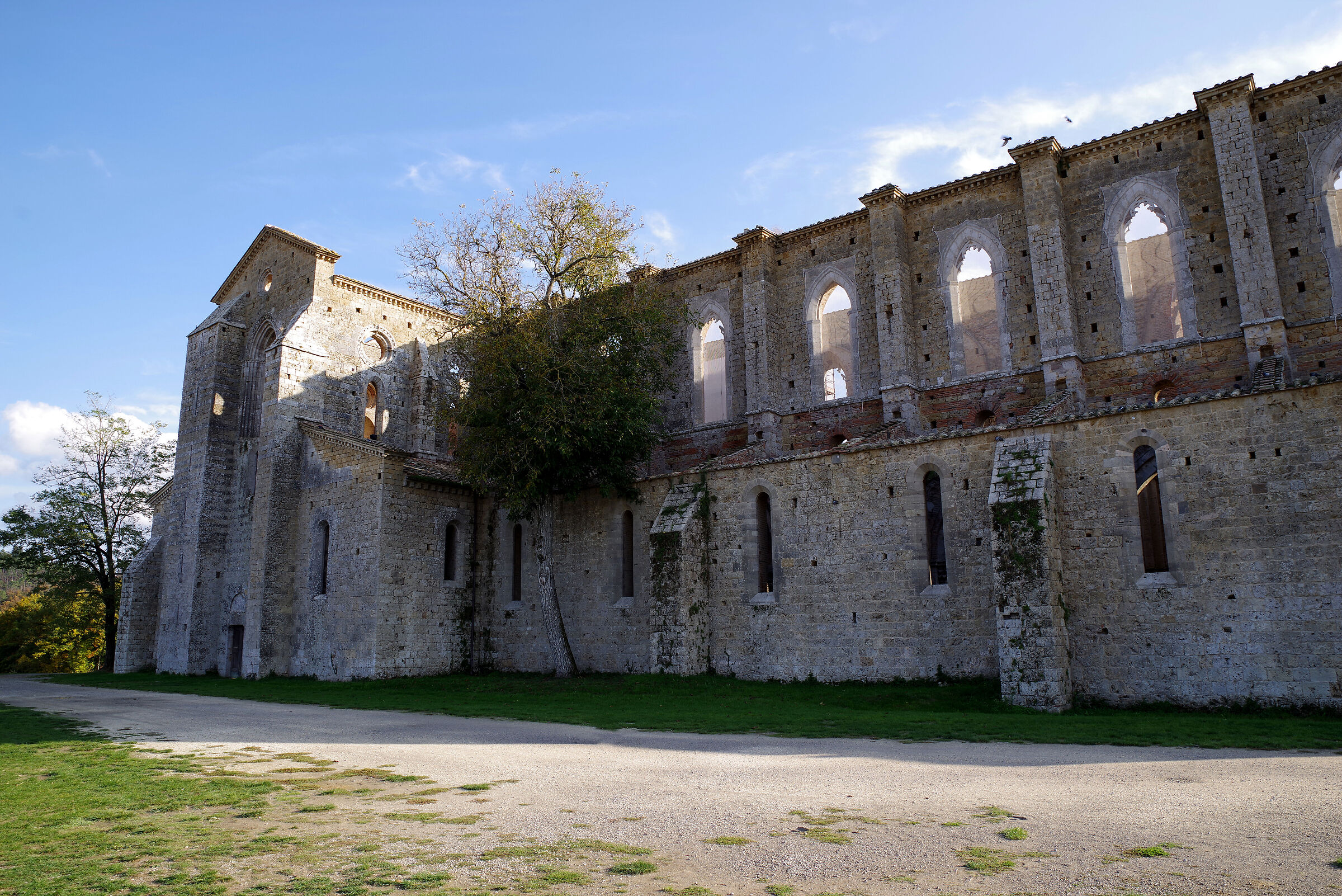 Abbazia di San Galgano (Siena)