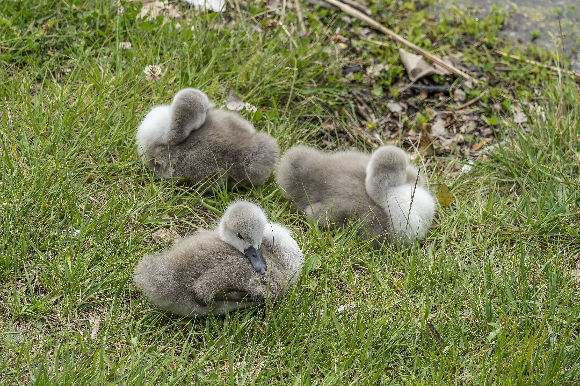 Sunday, 16 May 2021, 11:54:54