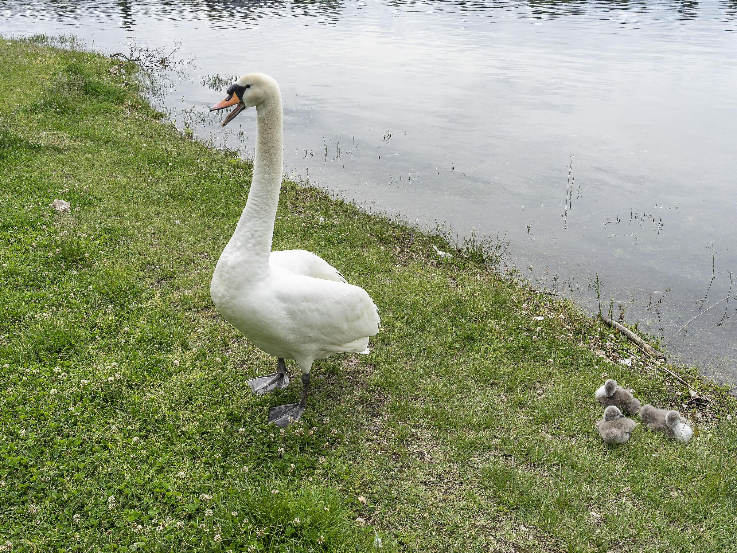 Sunday, 16 May 2021, 11:55:28