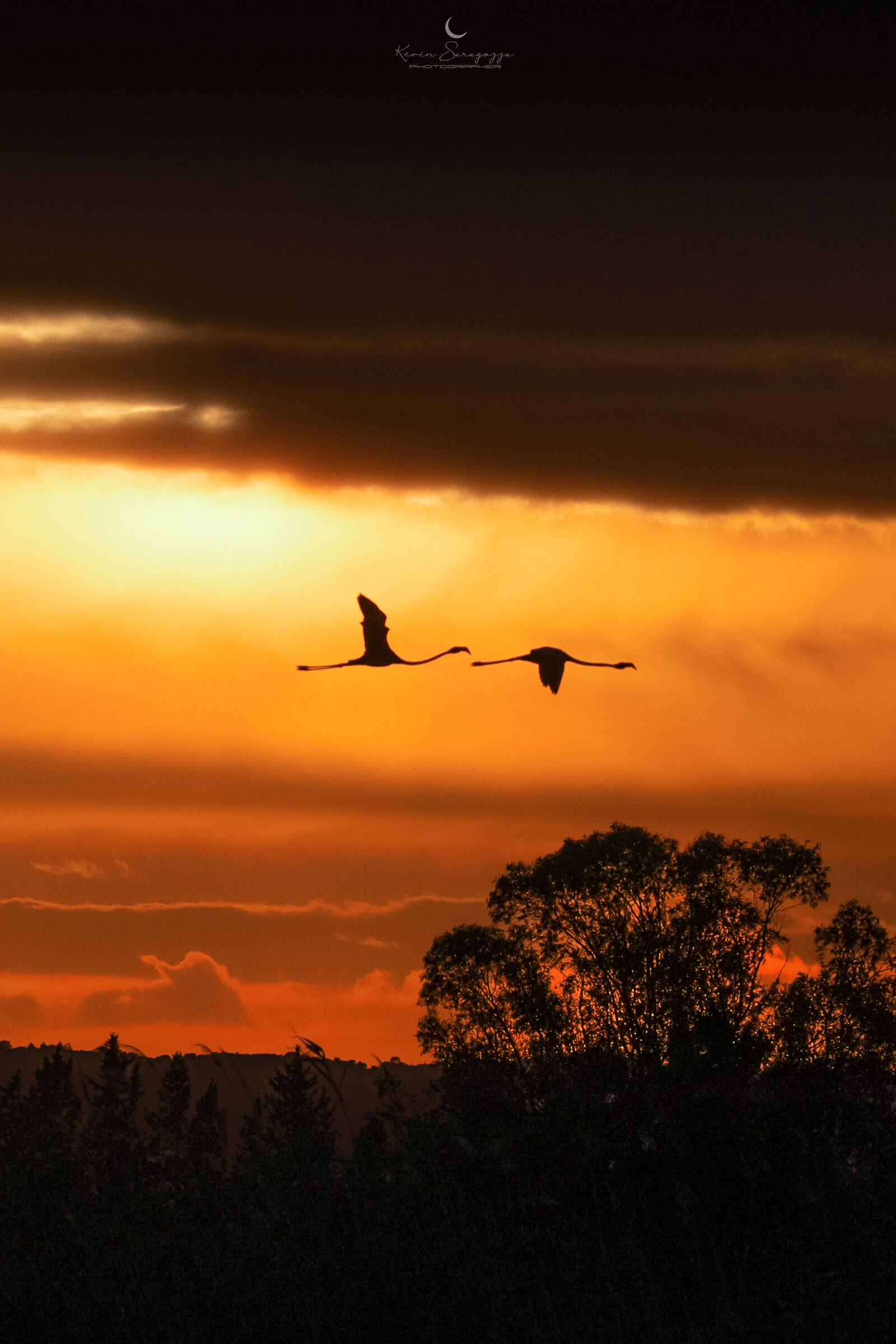 Dentro un tramonto scoviamo la luce della libertà