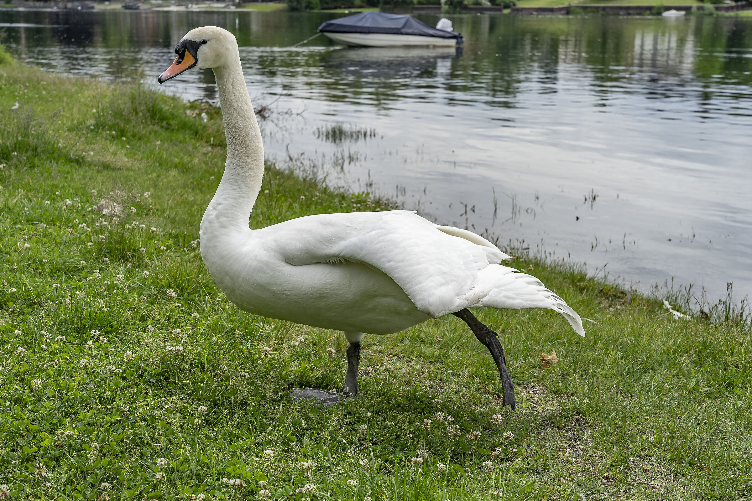 Sunday, 16 May 2021, 11:56:24