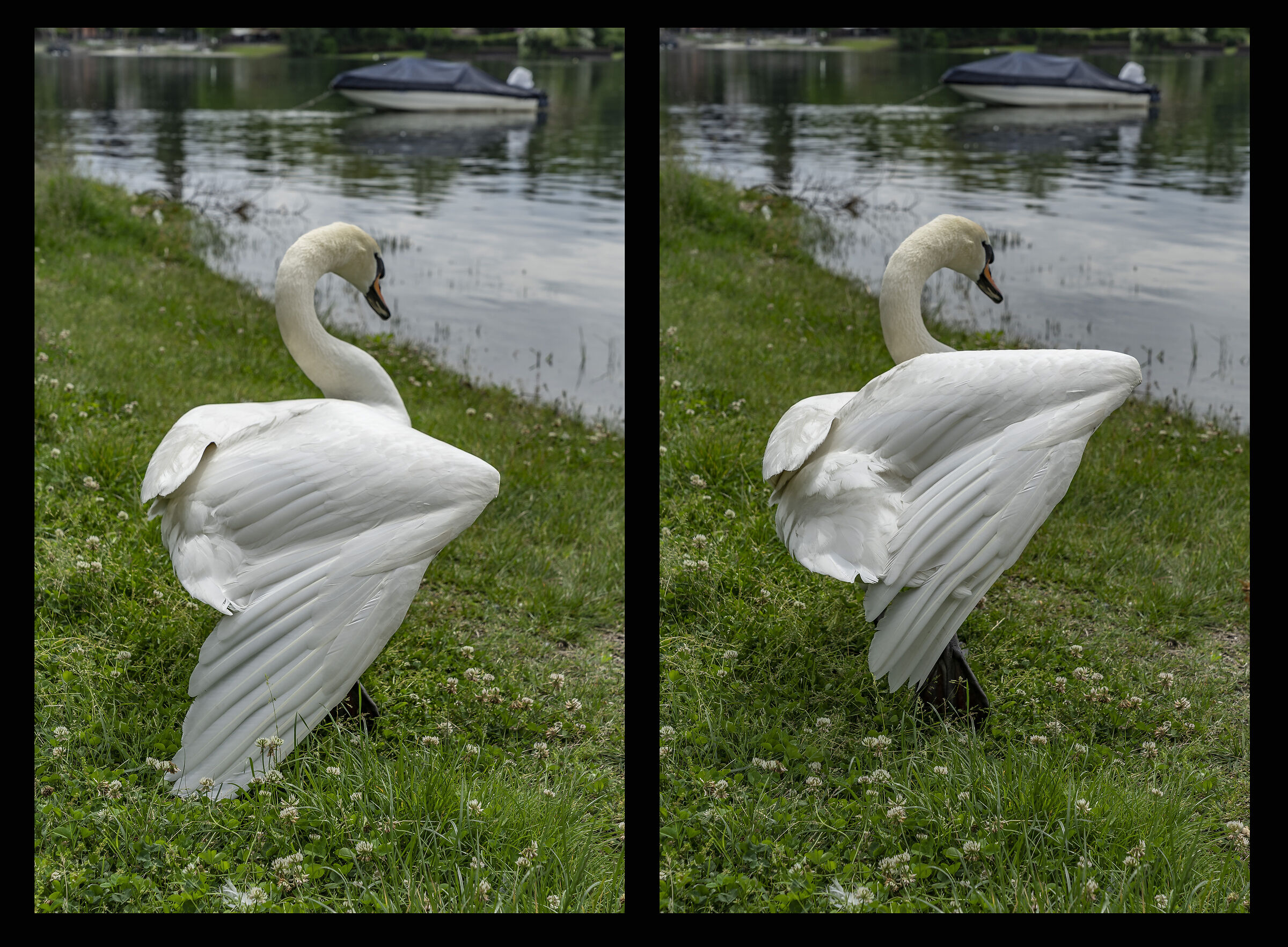 Sunday 16 May 2021, 11:56:52-54