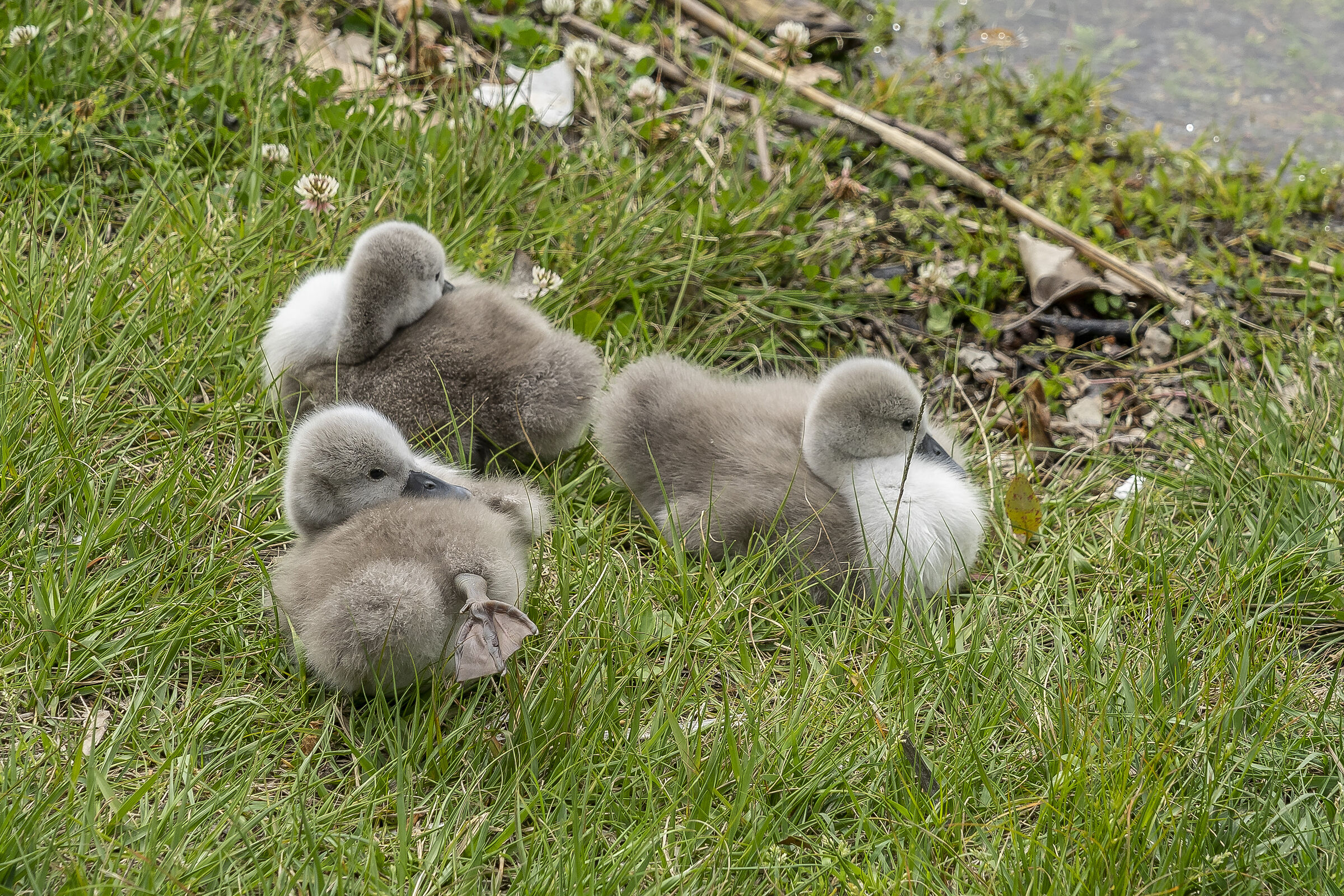 Sunday, 16 May 2021, 11:58:24