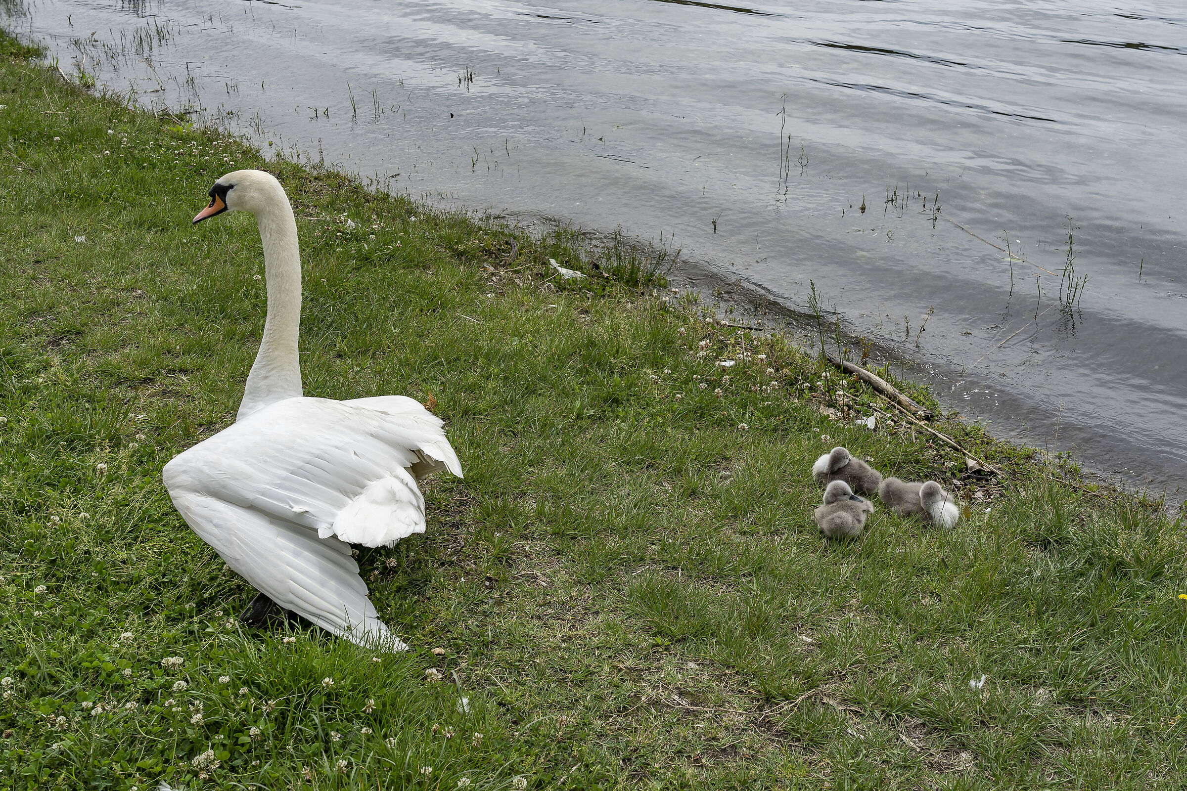 Sunday, 16 May 2021, 12:00:40