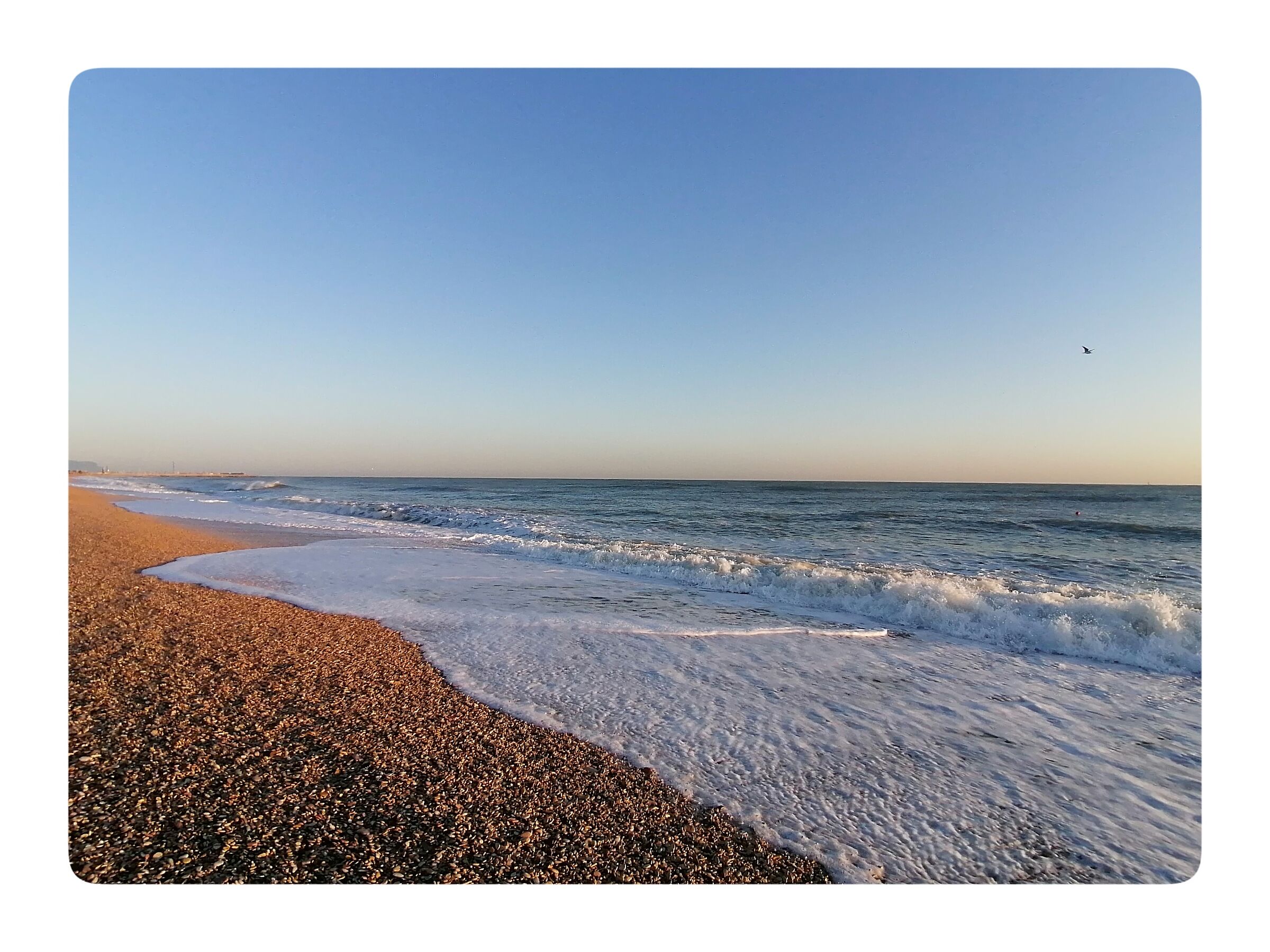 Quann o'mare è calmo ogni strunz è marenaro