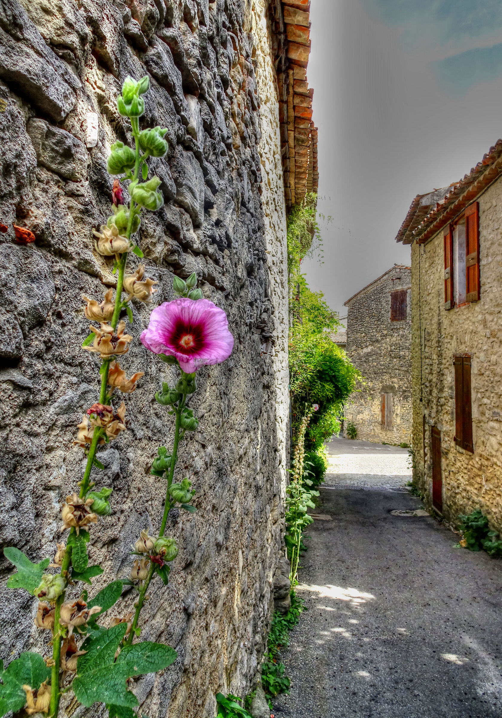 Auribeau "Colors of Provence"