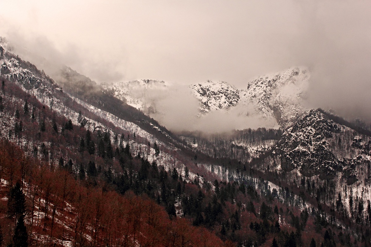 The calm before the storm