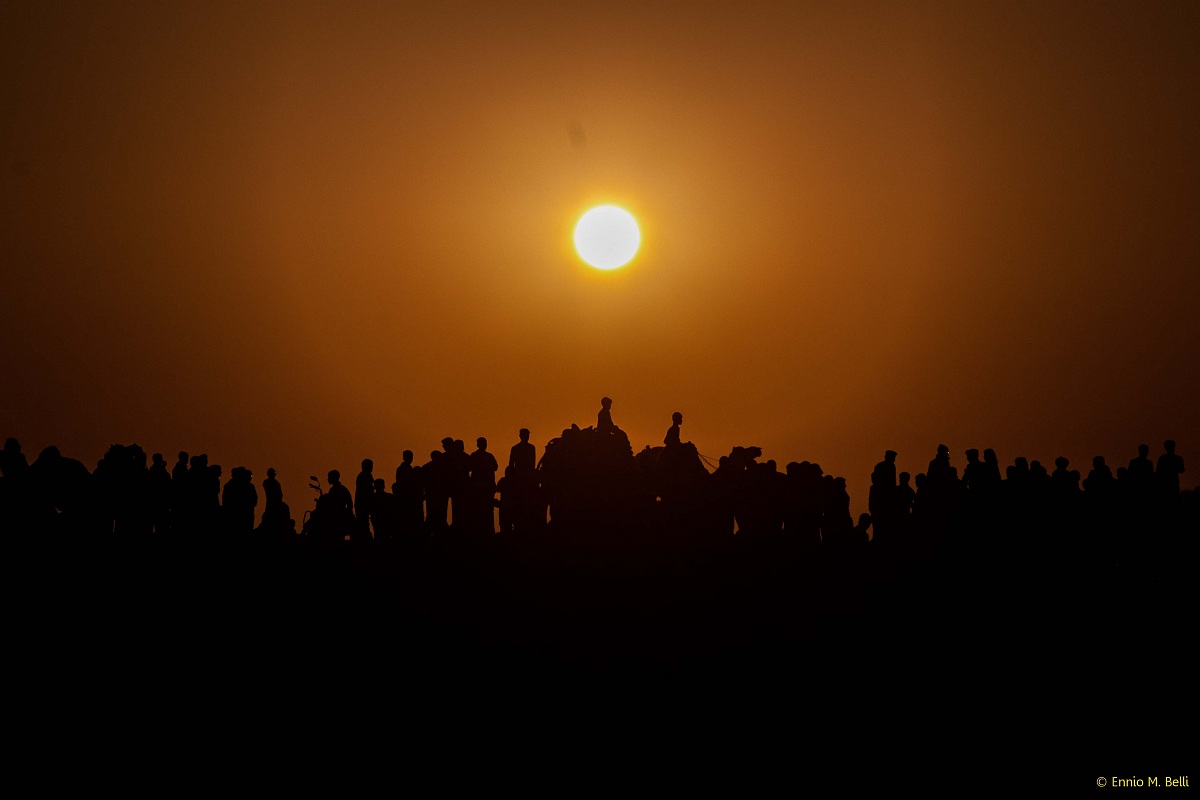 Tramonto al Camel Festival di Bikaner