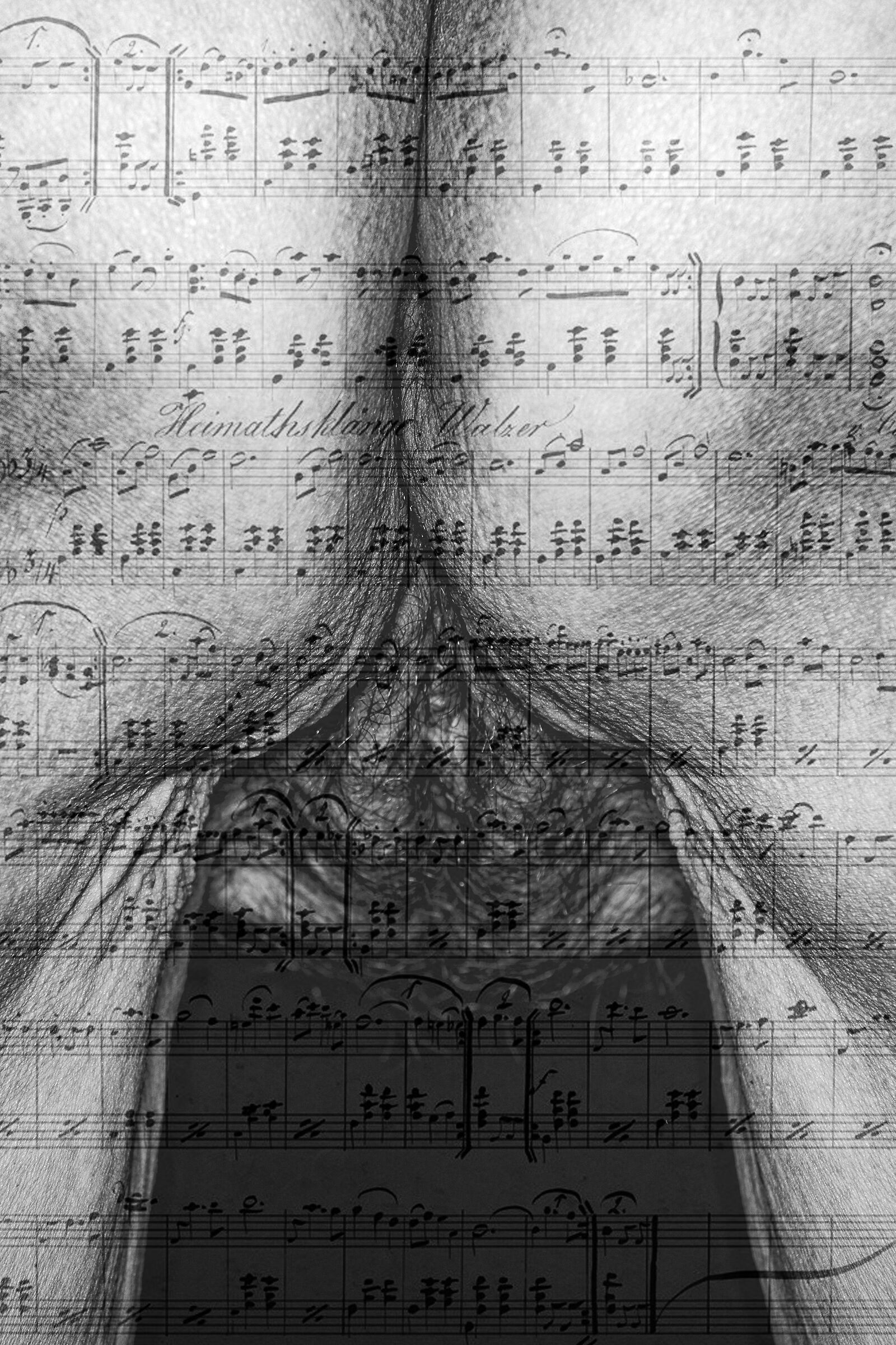 Sinfonia