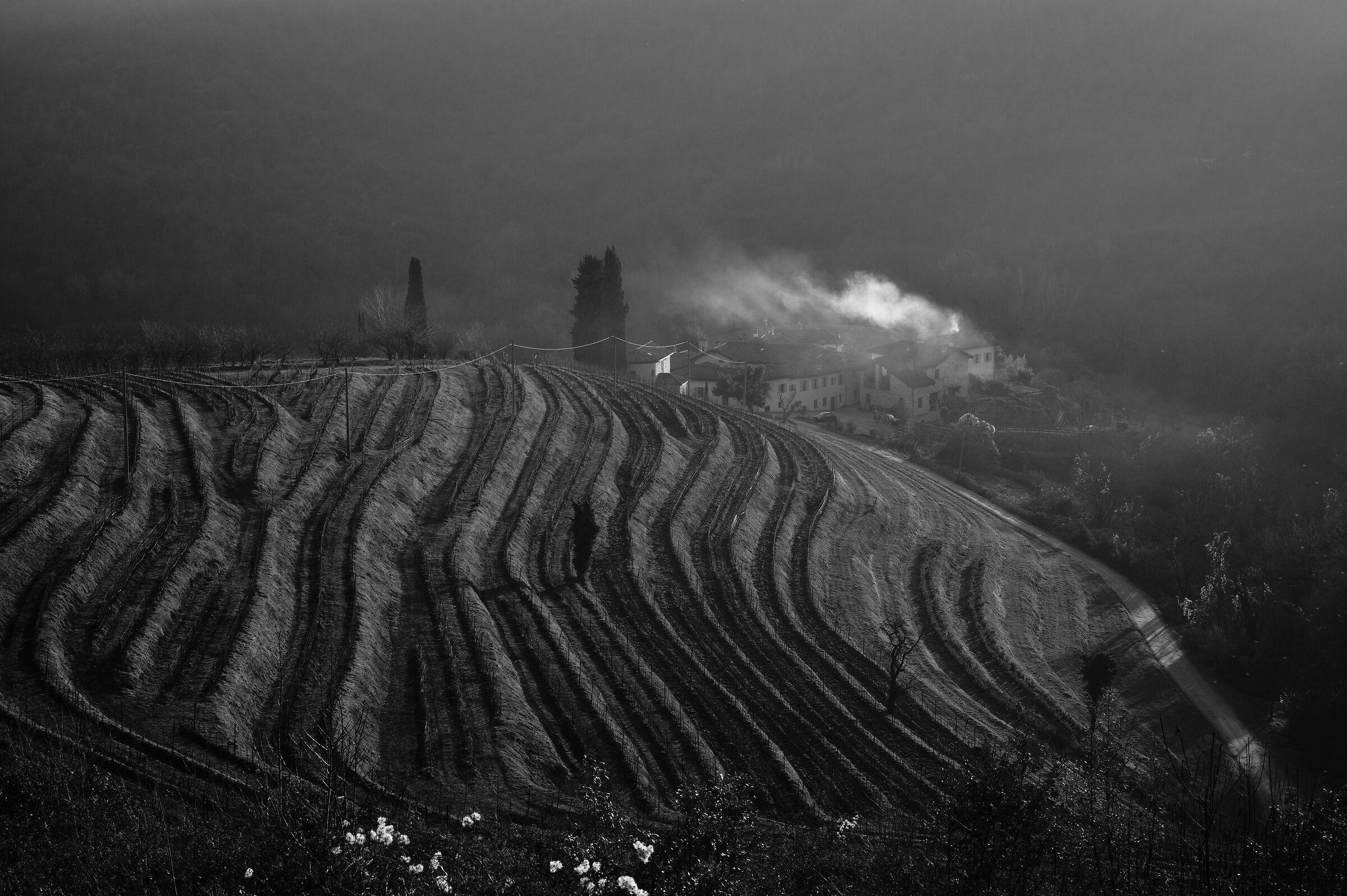cascina galbusera