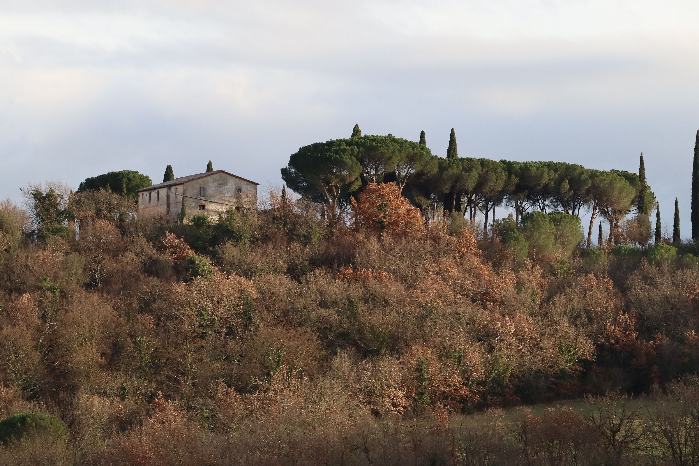 collina in val d'Orcia
