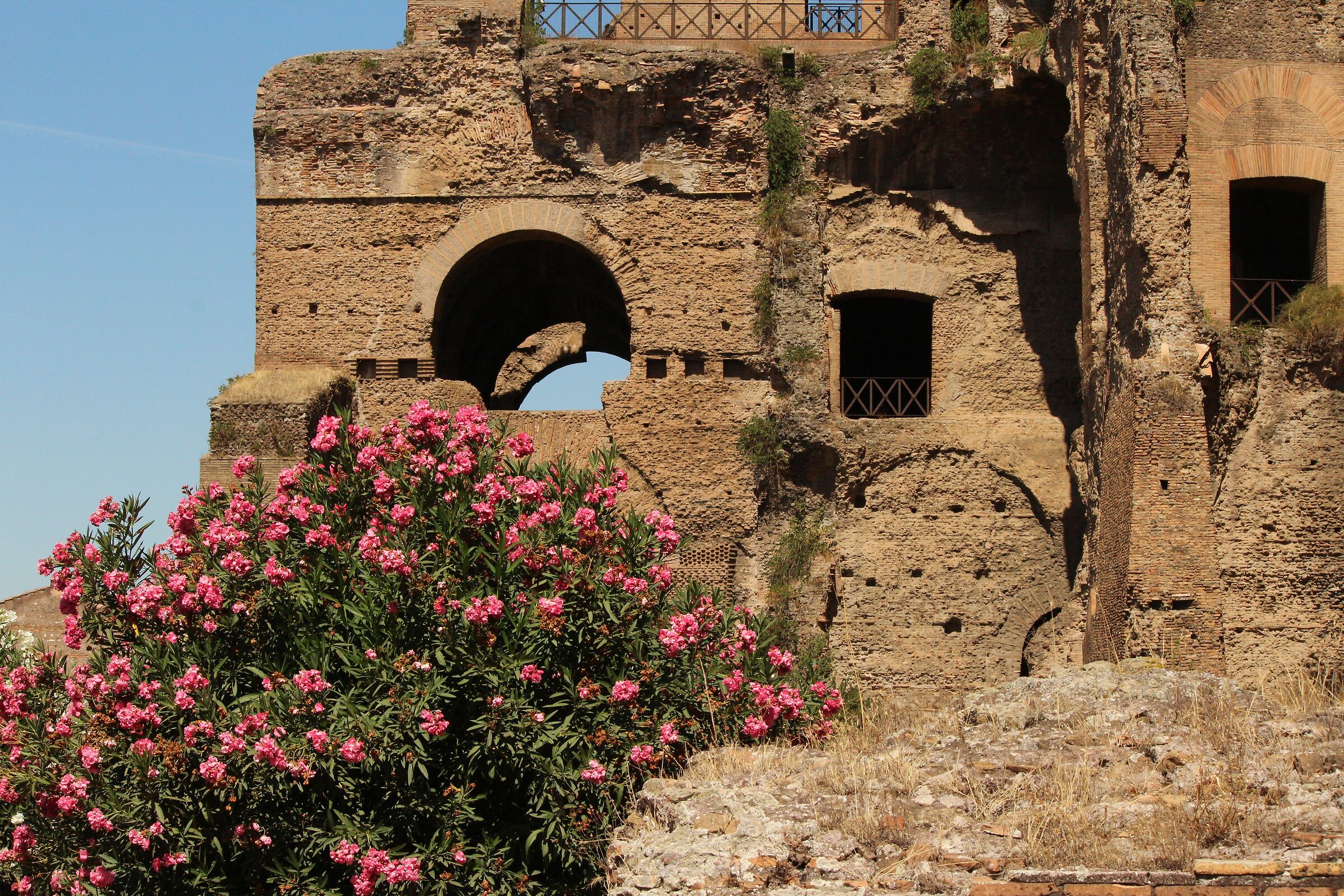 Palatino, pendici meridionali