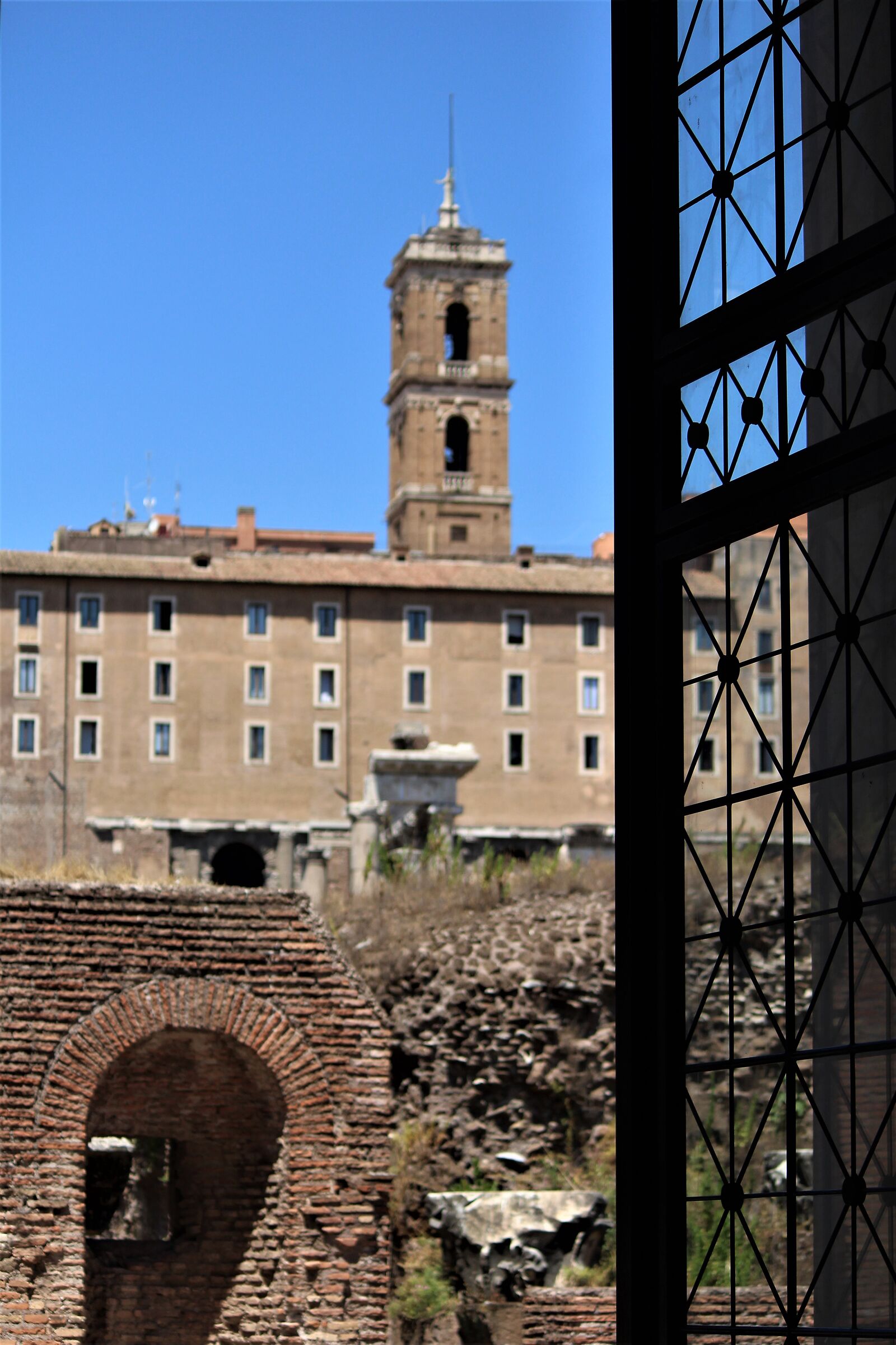 Uno sguardo sul Foro