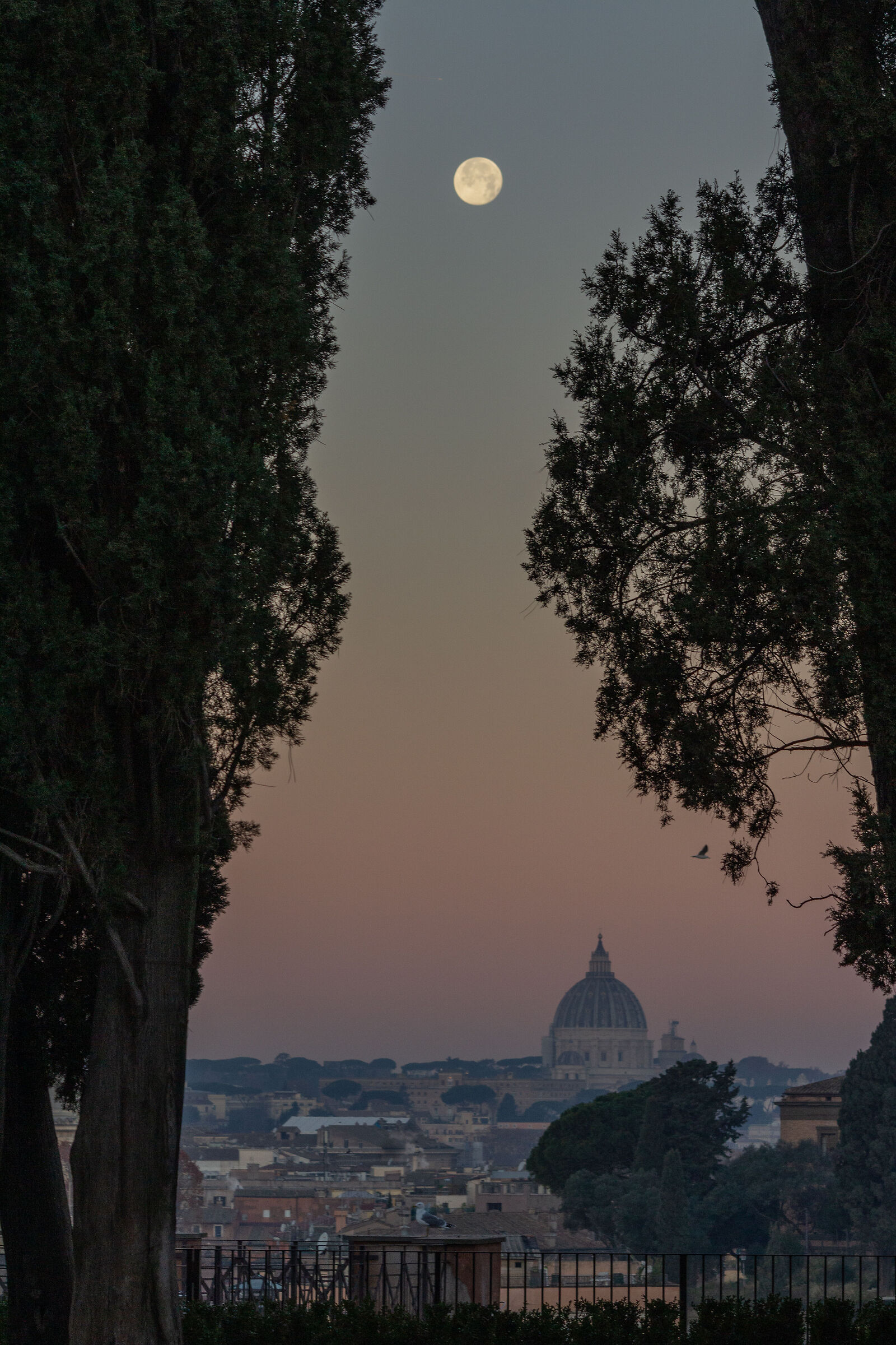 La terrazza degli Horti