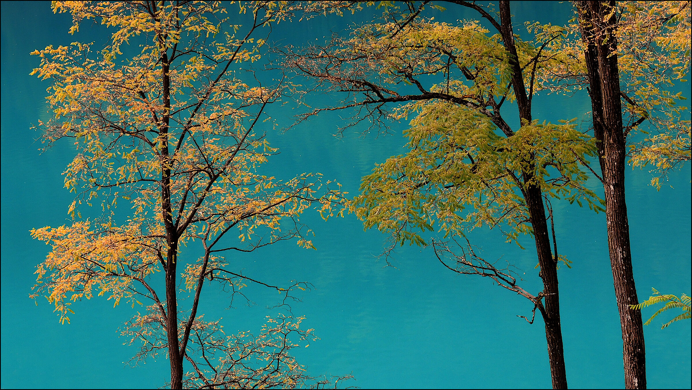 autumn on the lake