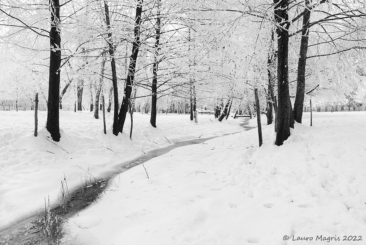 Grafismi Innevati