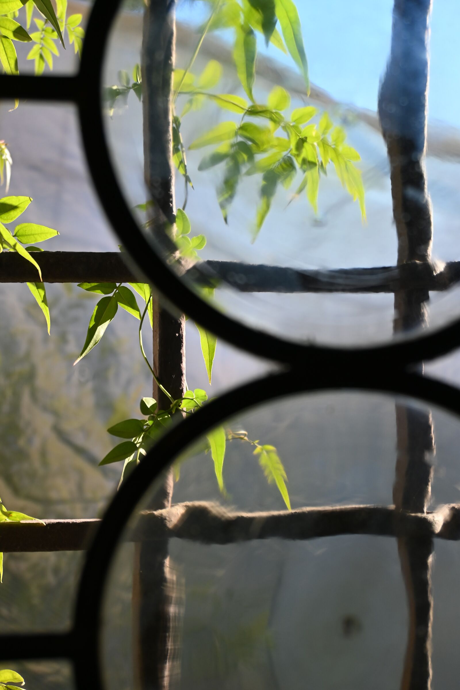 Glimpse of the garden from an ancient window
