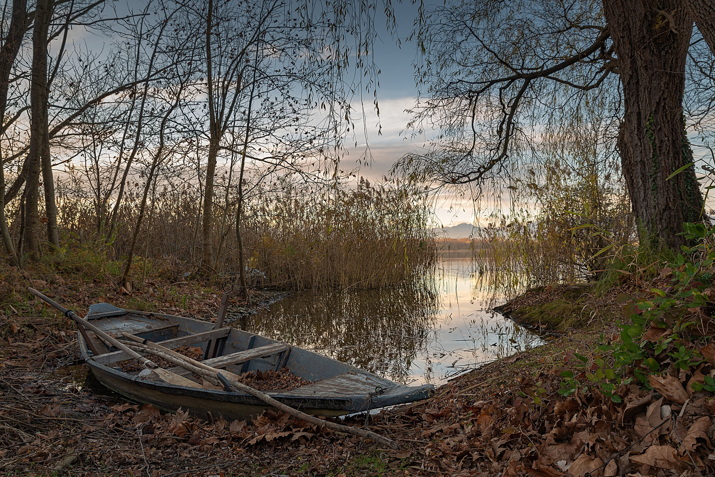 The boat