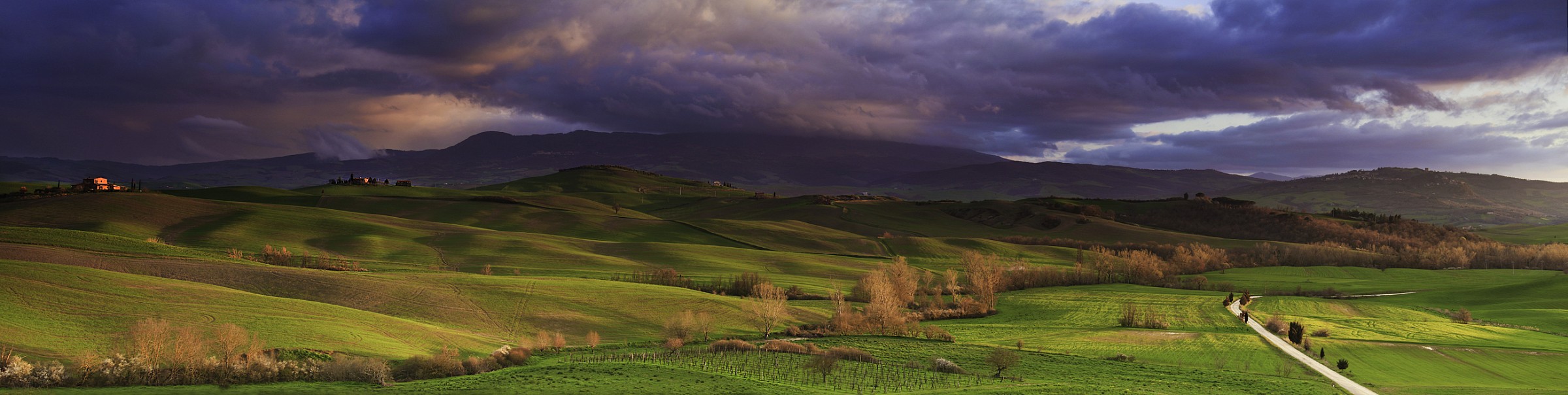 Tuscany - Val d'Orcia, panorama near Pienza