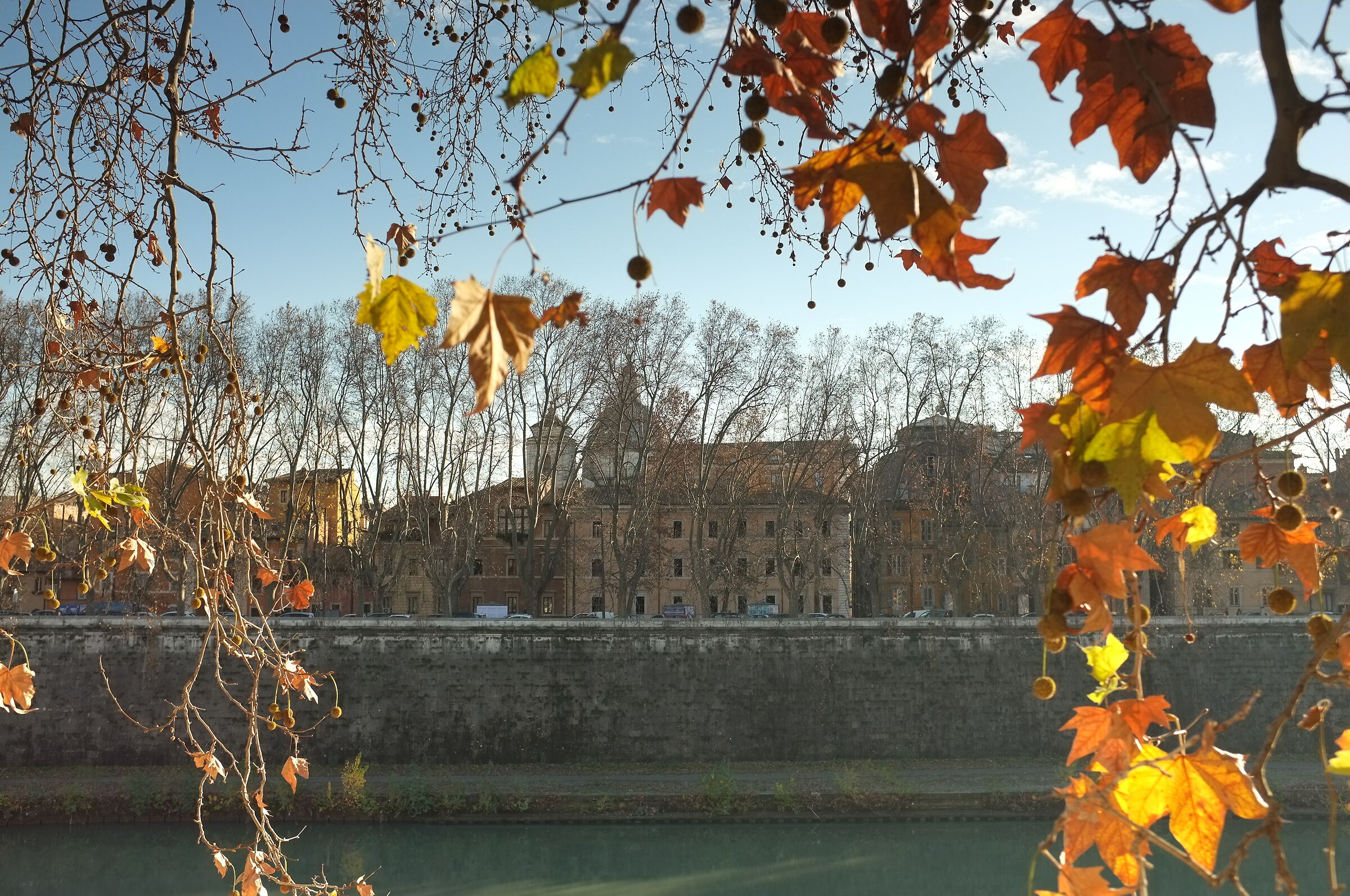 Rome