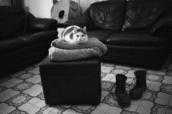 Foto