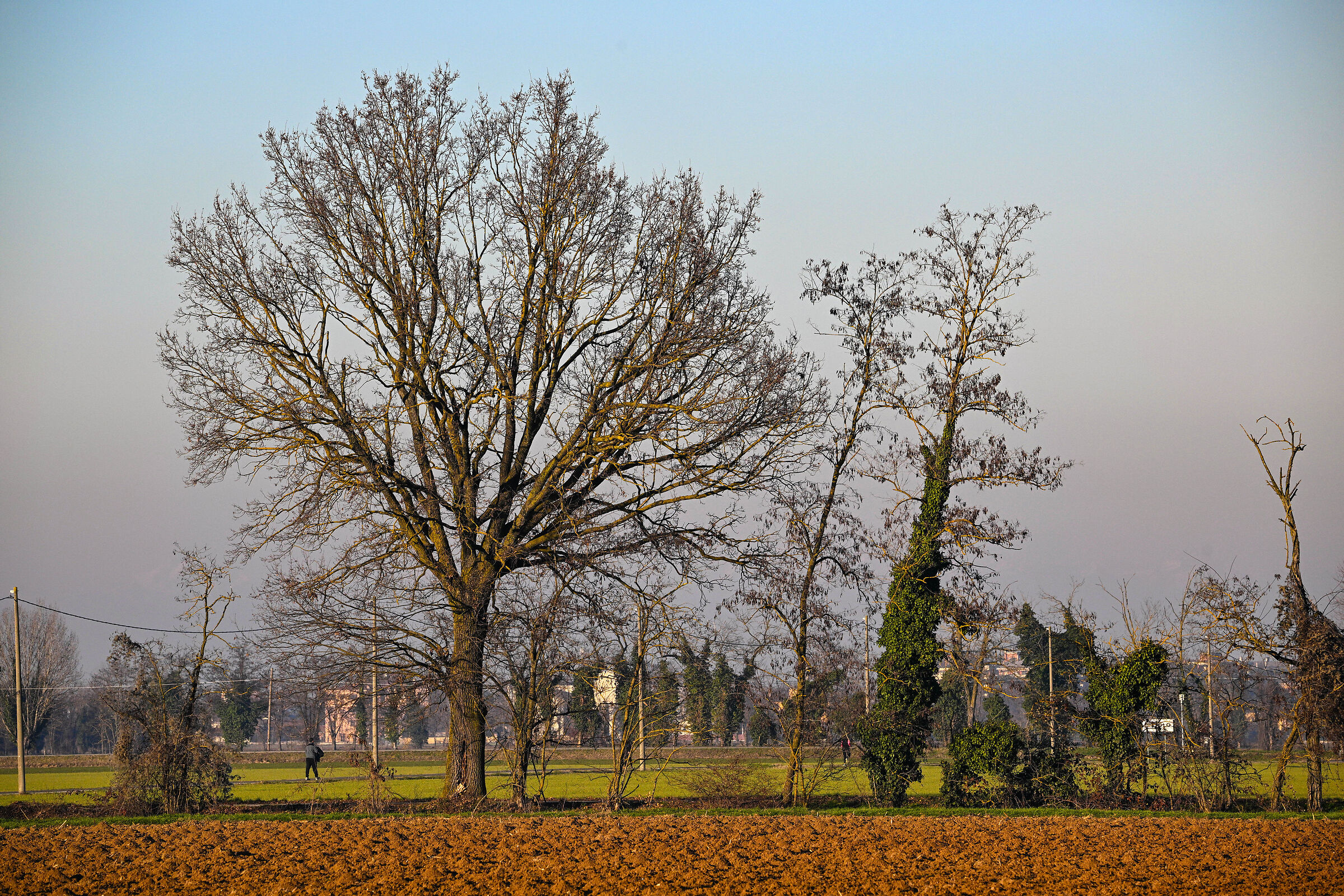 Nikon Z9 - burst image quality 30 FPS