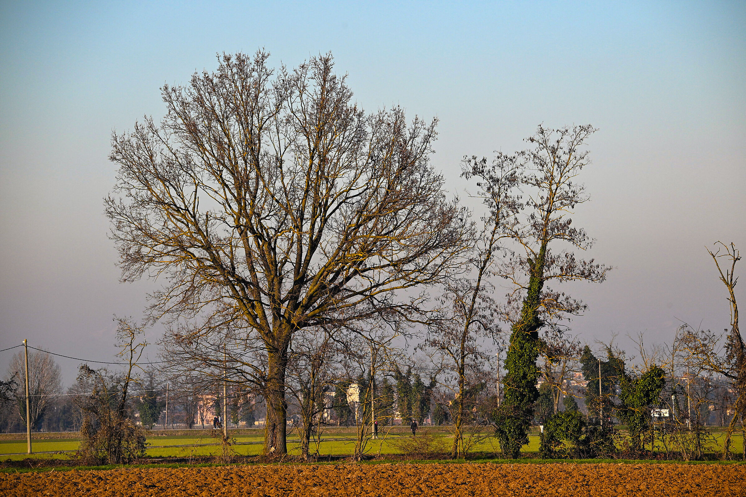 Nikon Z9 - burst image quality 120 FPS