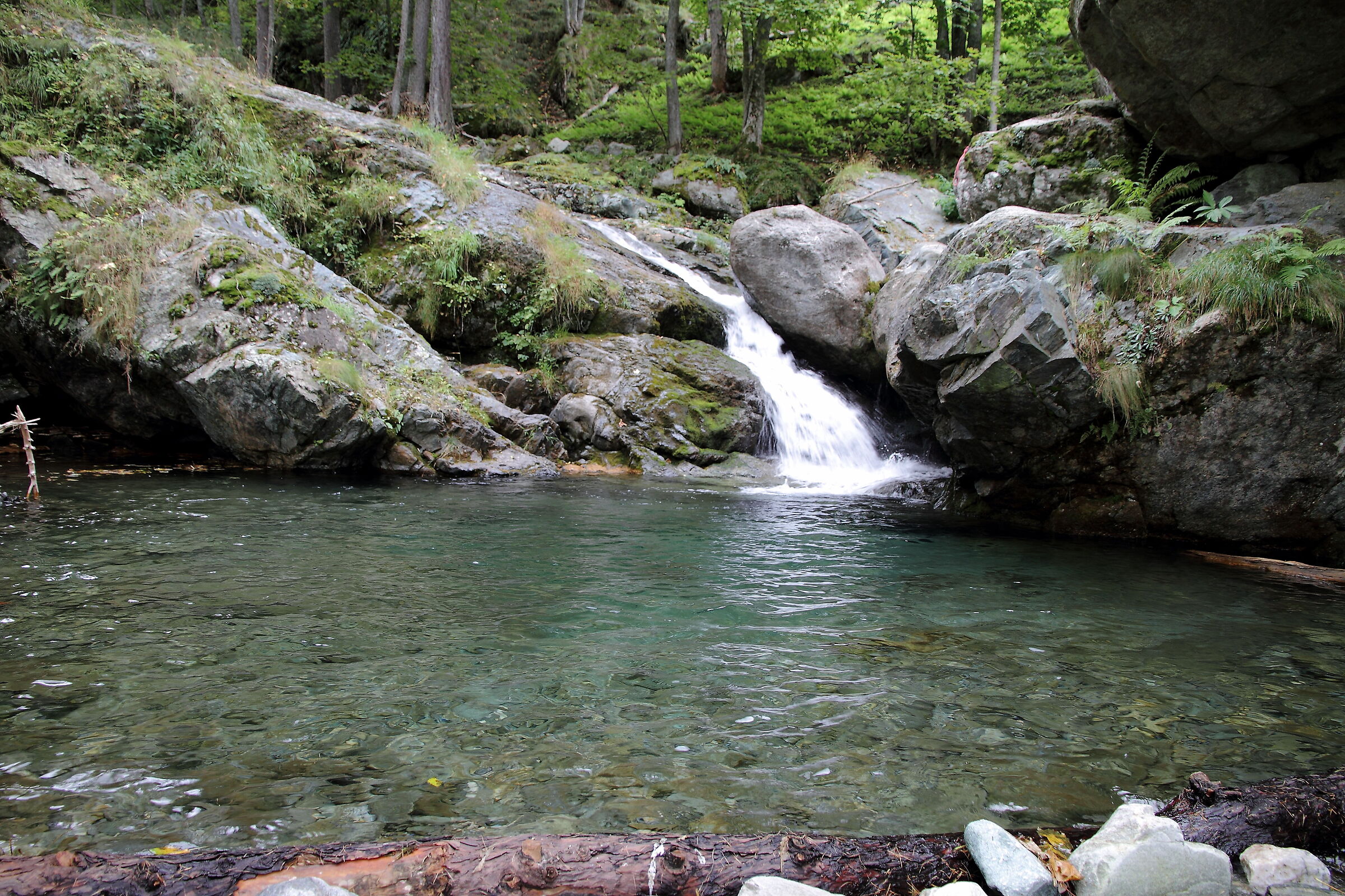 Natural swimming pool