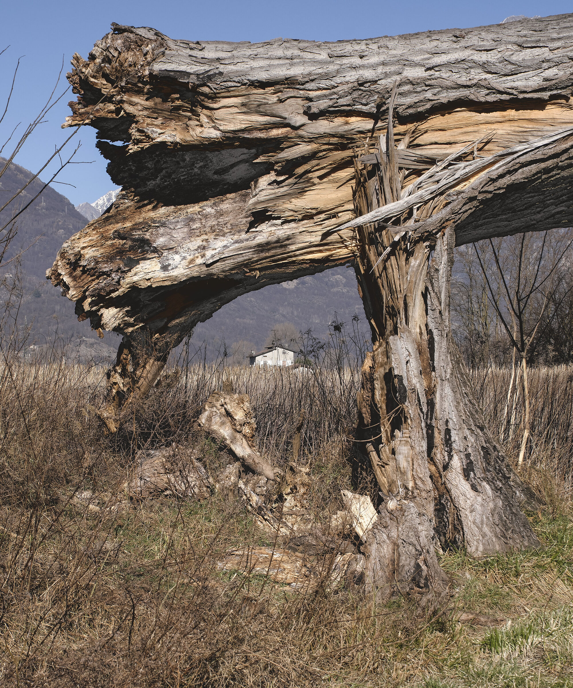Riserva Naturale Pian di Spagna