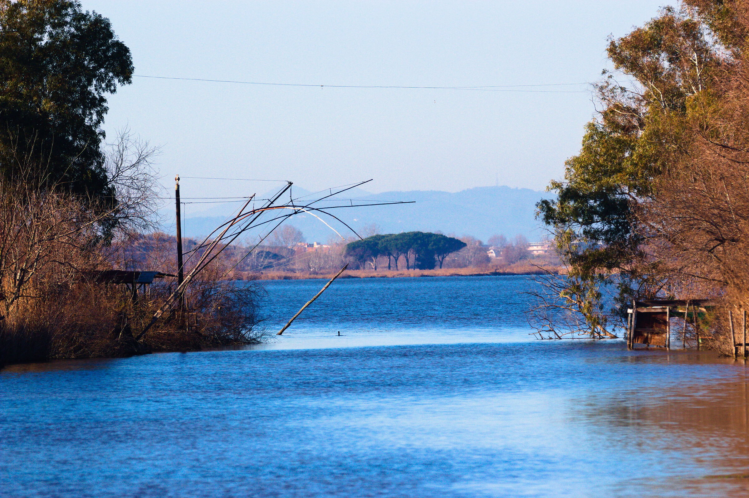 Lago di Massaciuccoli