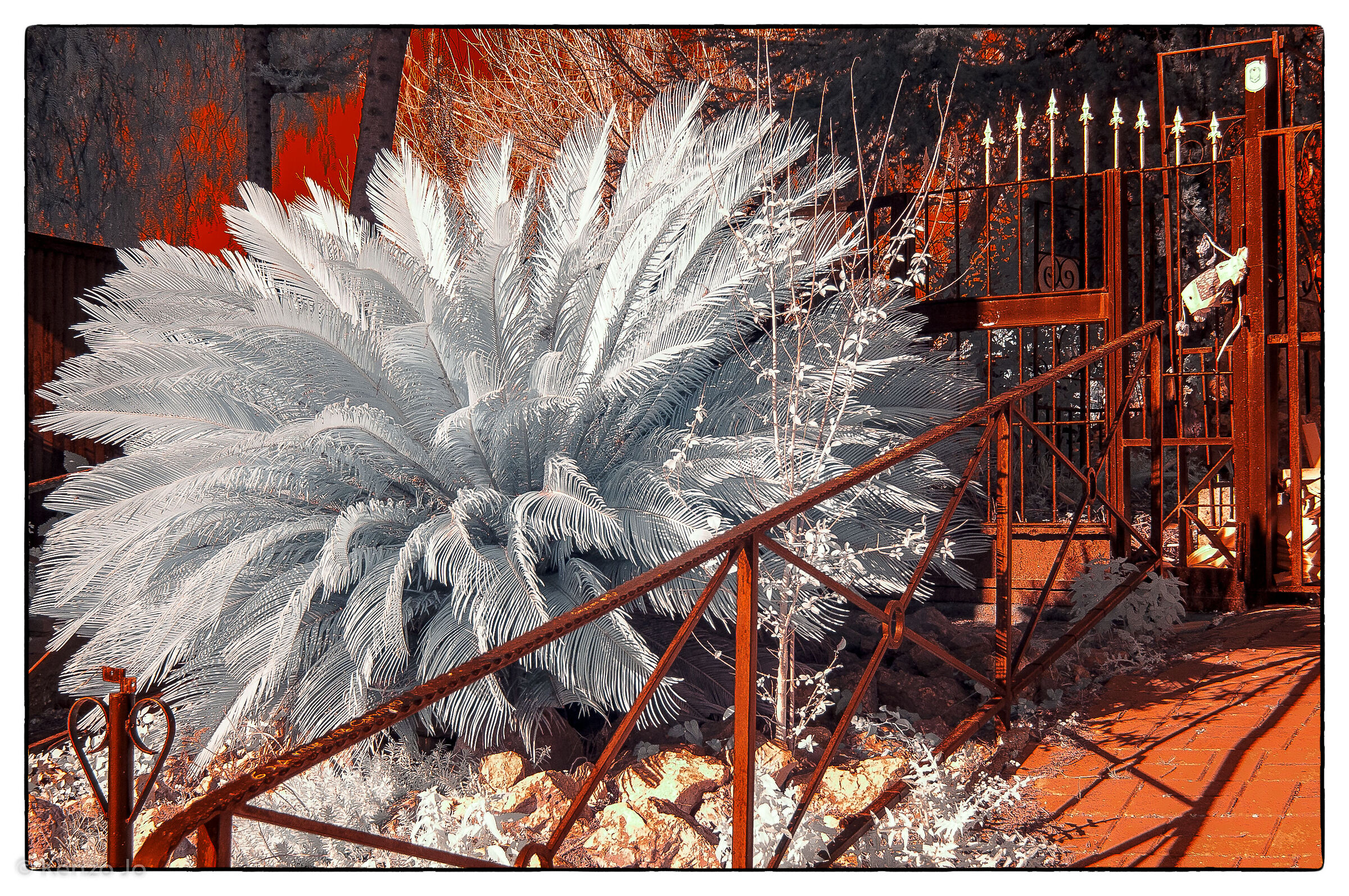 The Guardian of the Gate