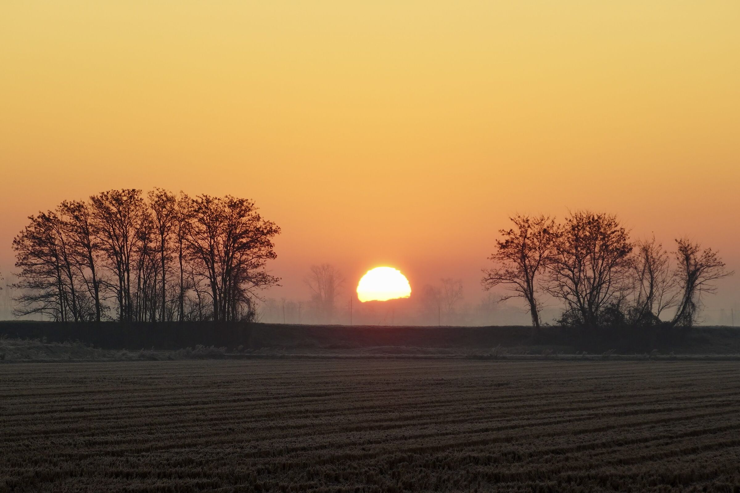 Good morning
