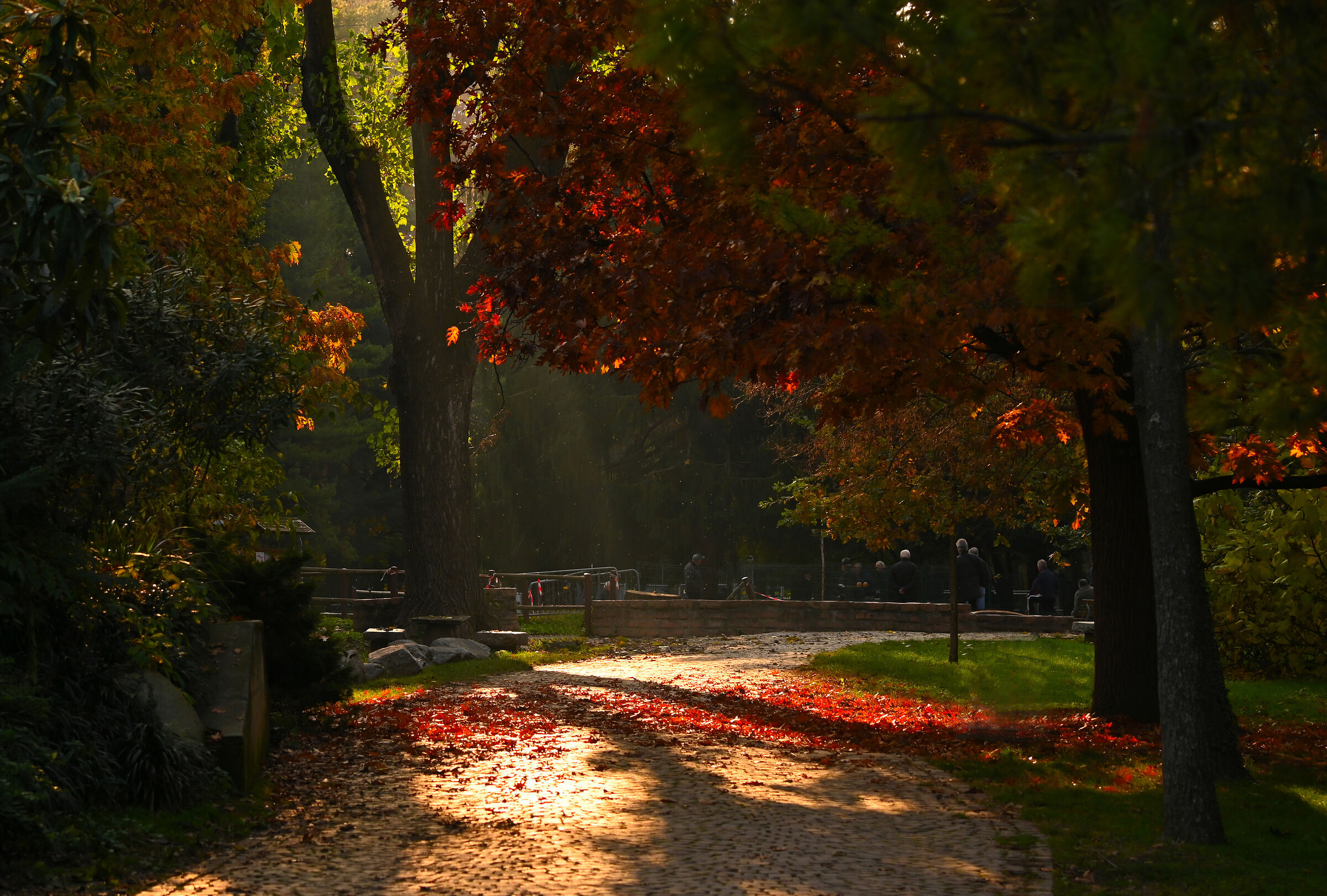 Autunno al Parco castello di Legnano