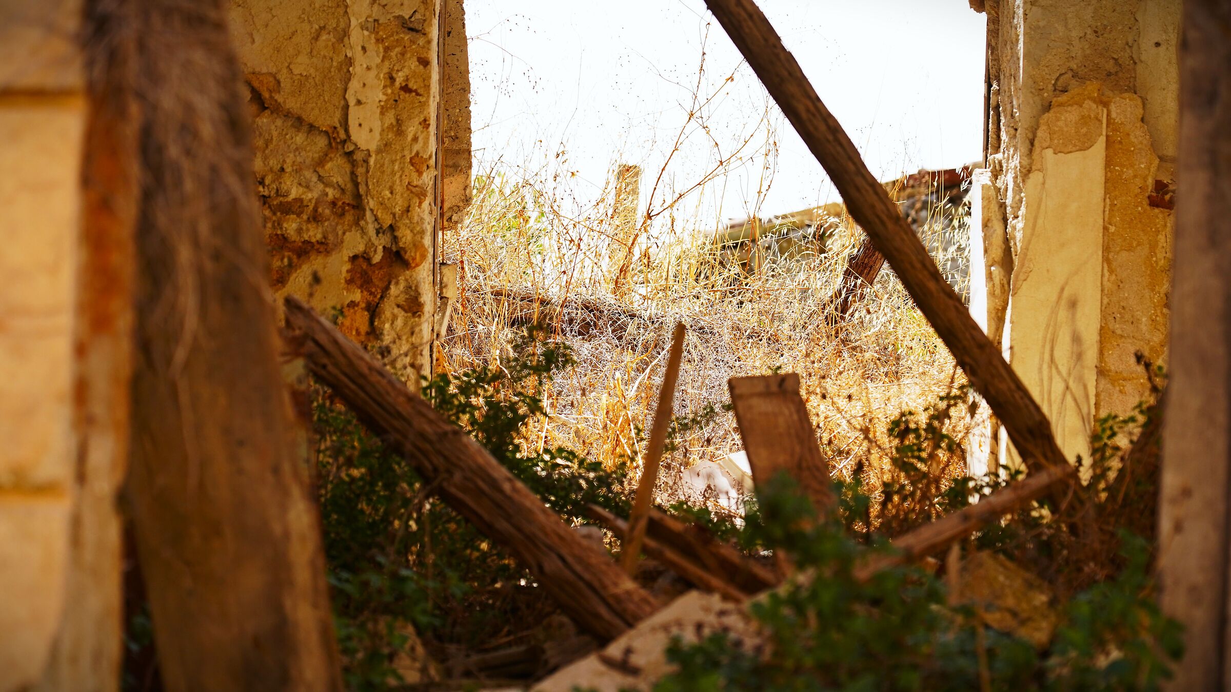 Ruderi di Poggioreale (2)