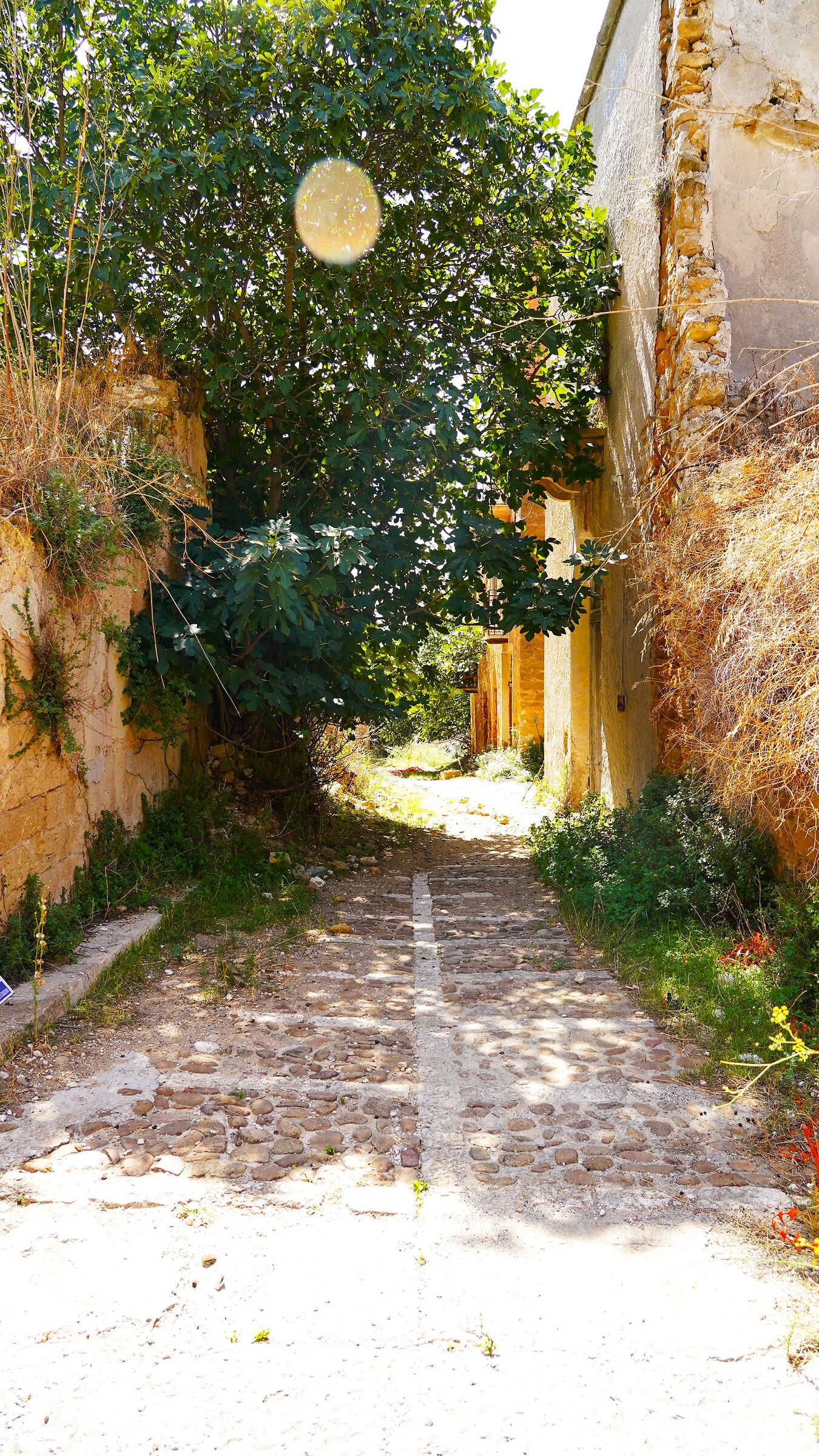 Ruderi di Poggioreale (6)