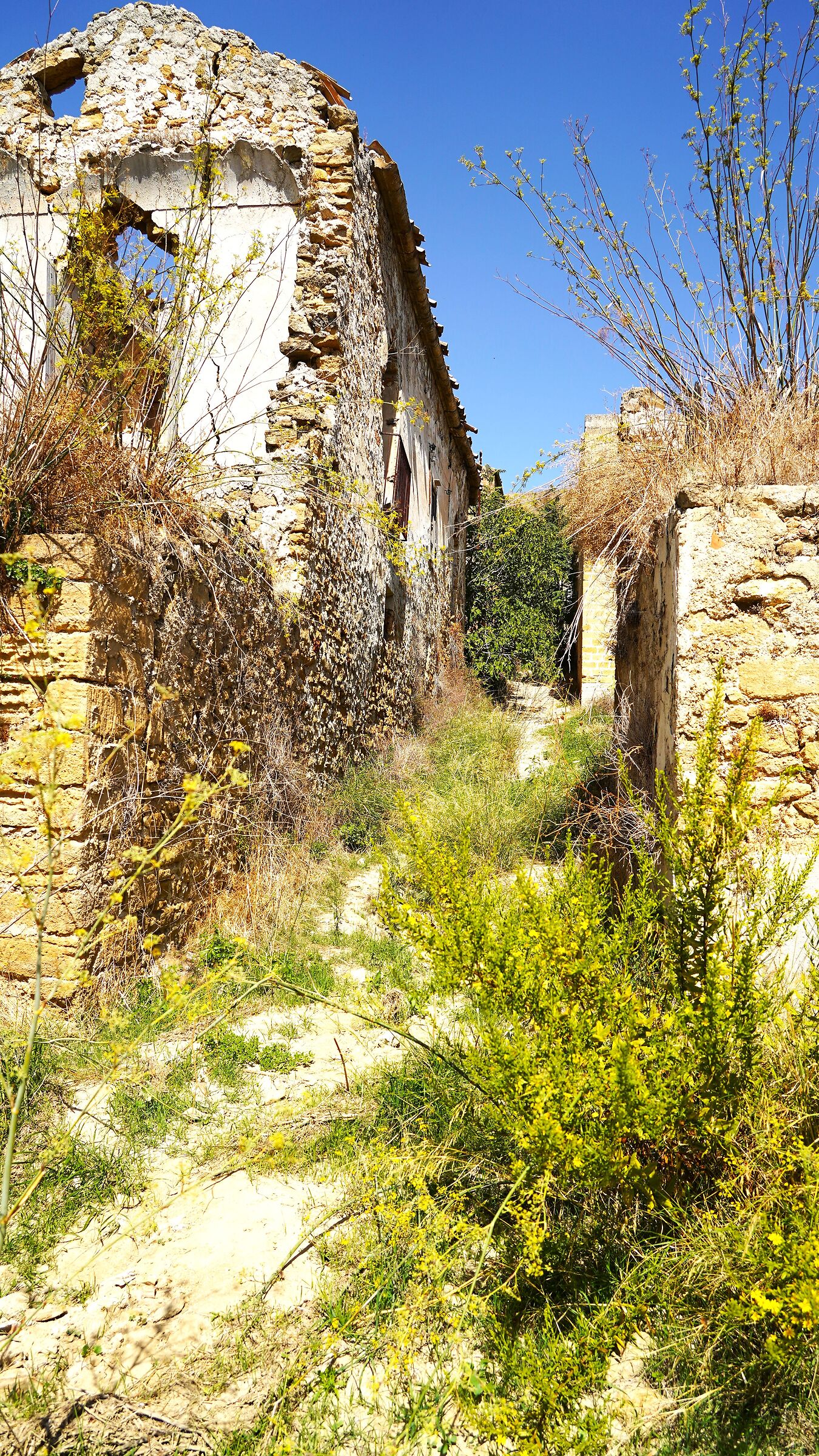 Ruderi di Poggioreale (8)