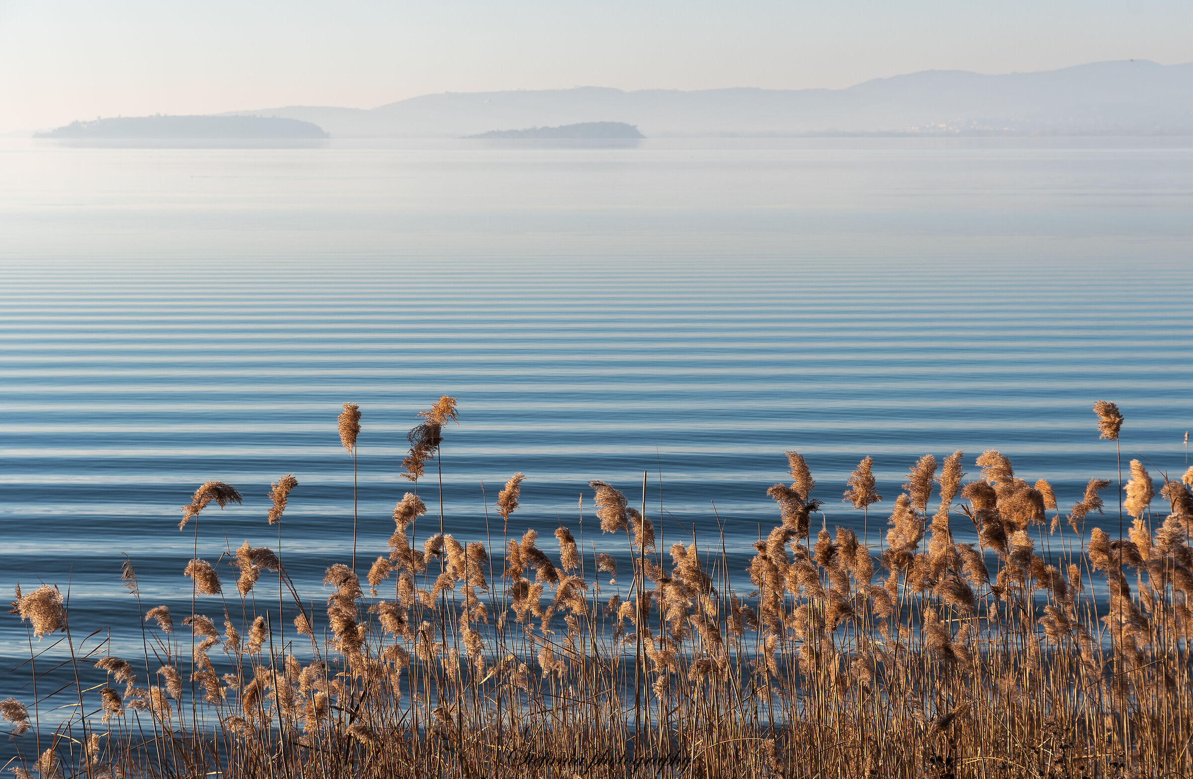 lago Trasimeno