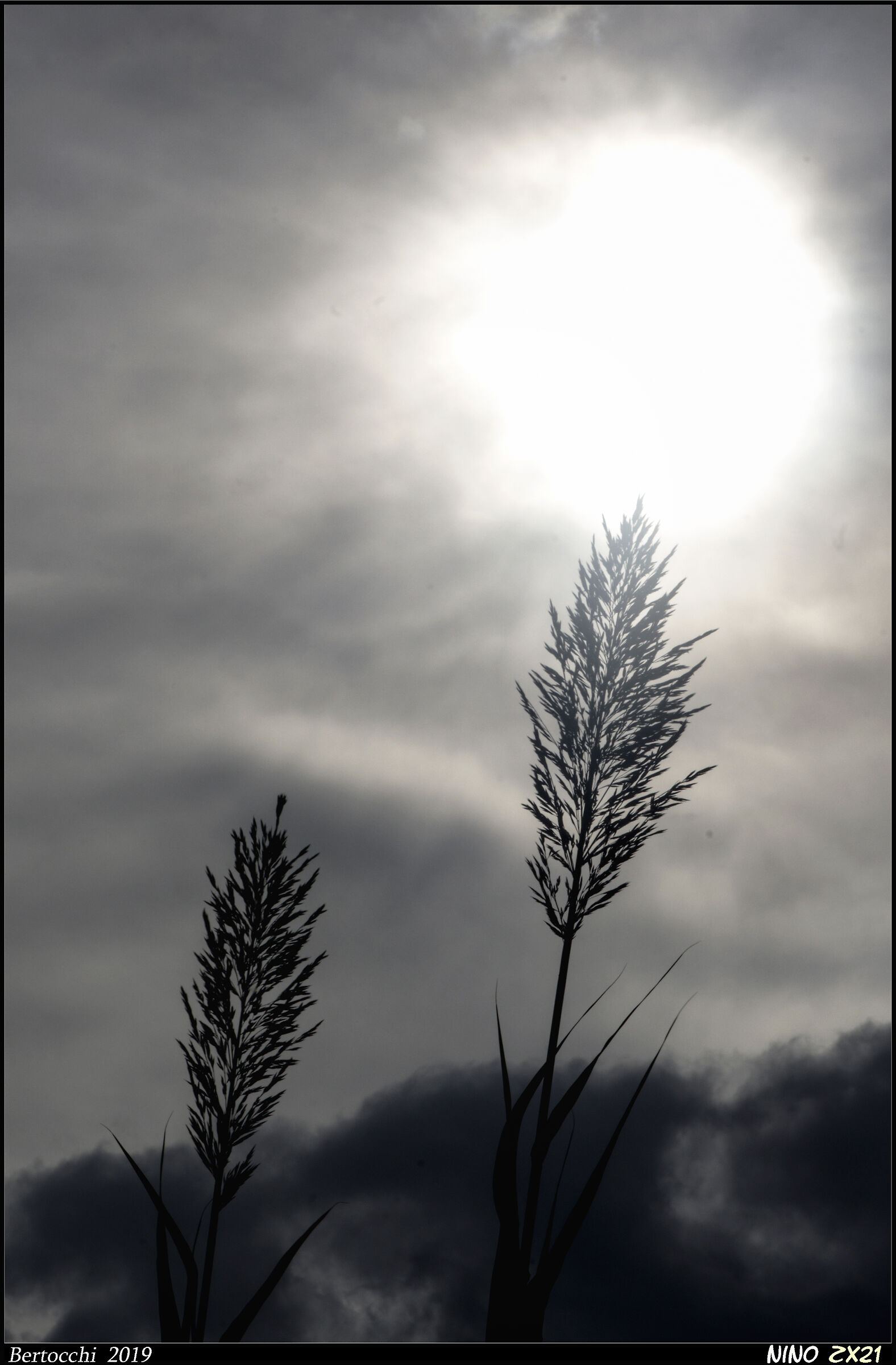 And light was