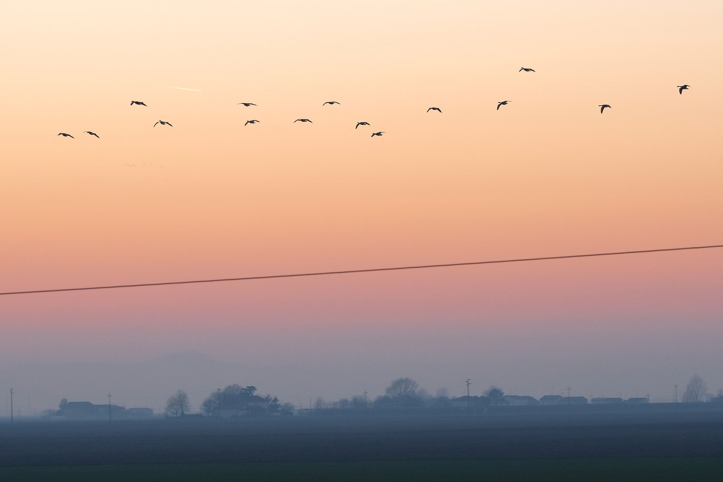 nelle valli di Campotto