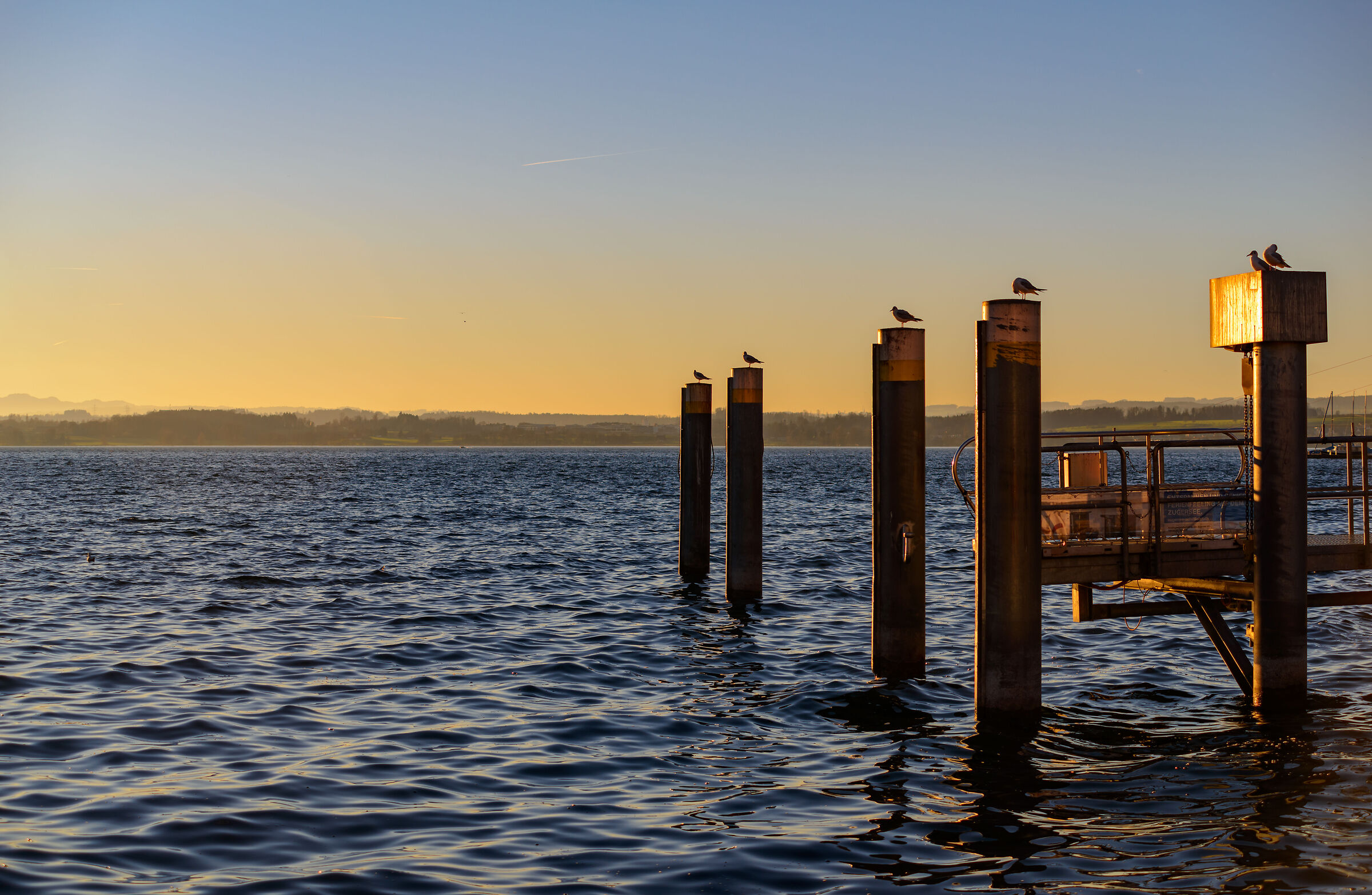 Lago di Zugo (Svizzera)