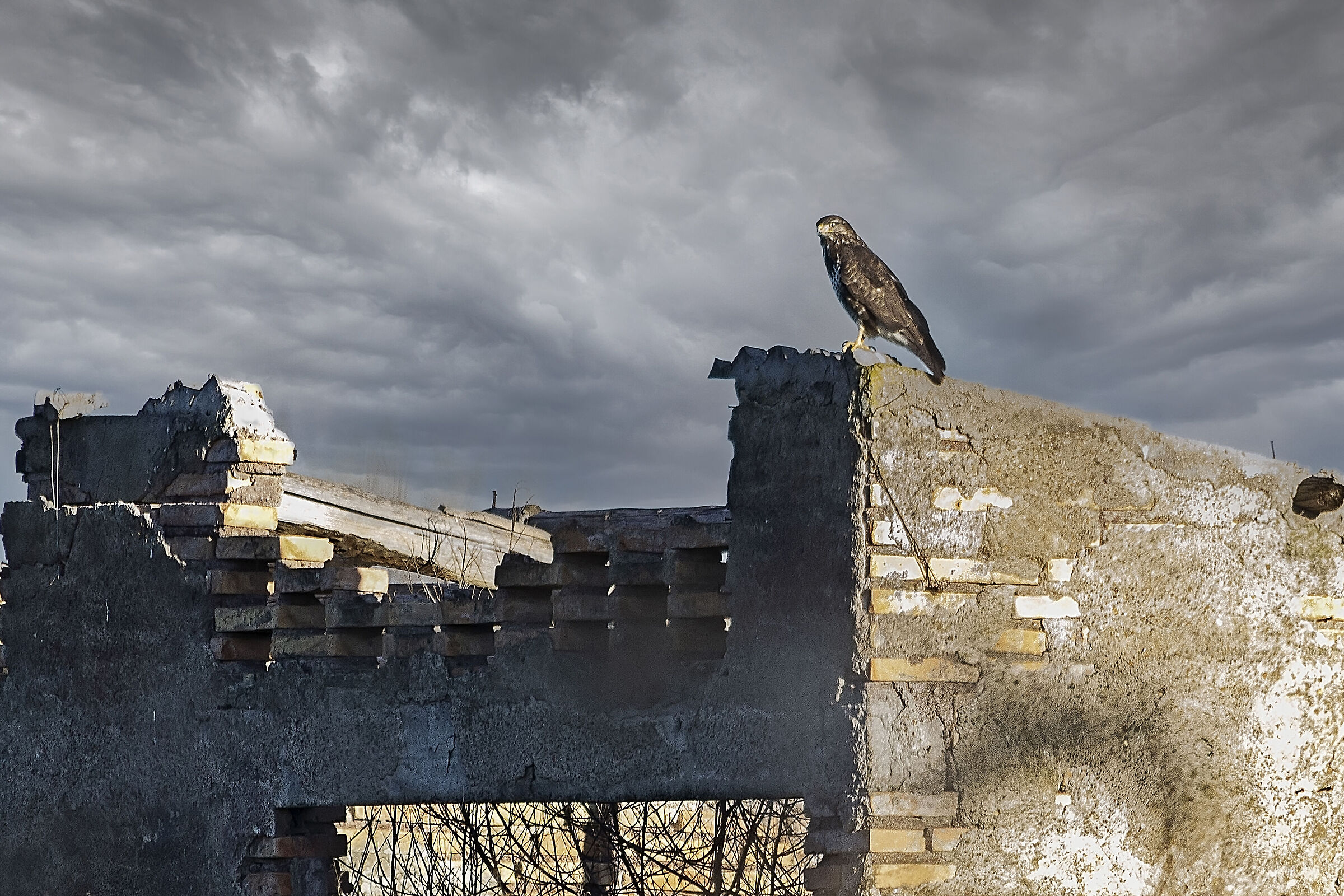 Il Re e il castello..