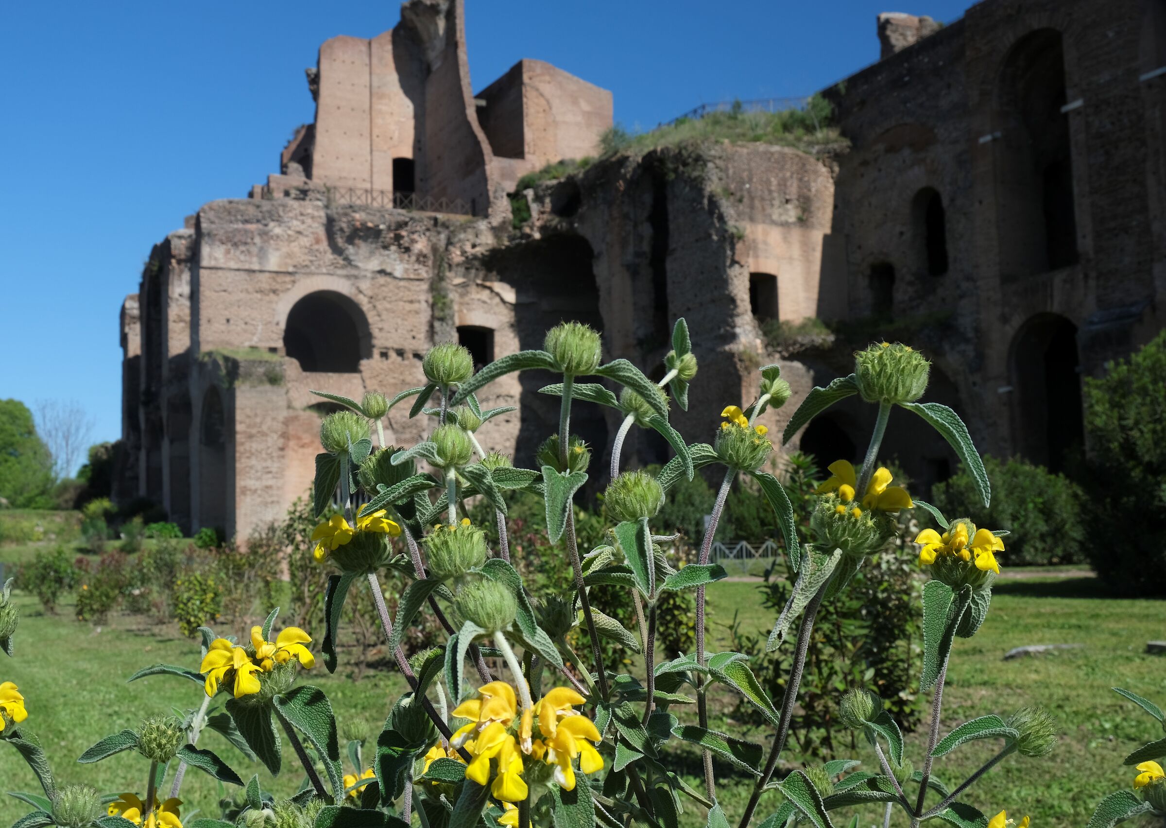 Palatino, pendici meridionali