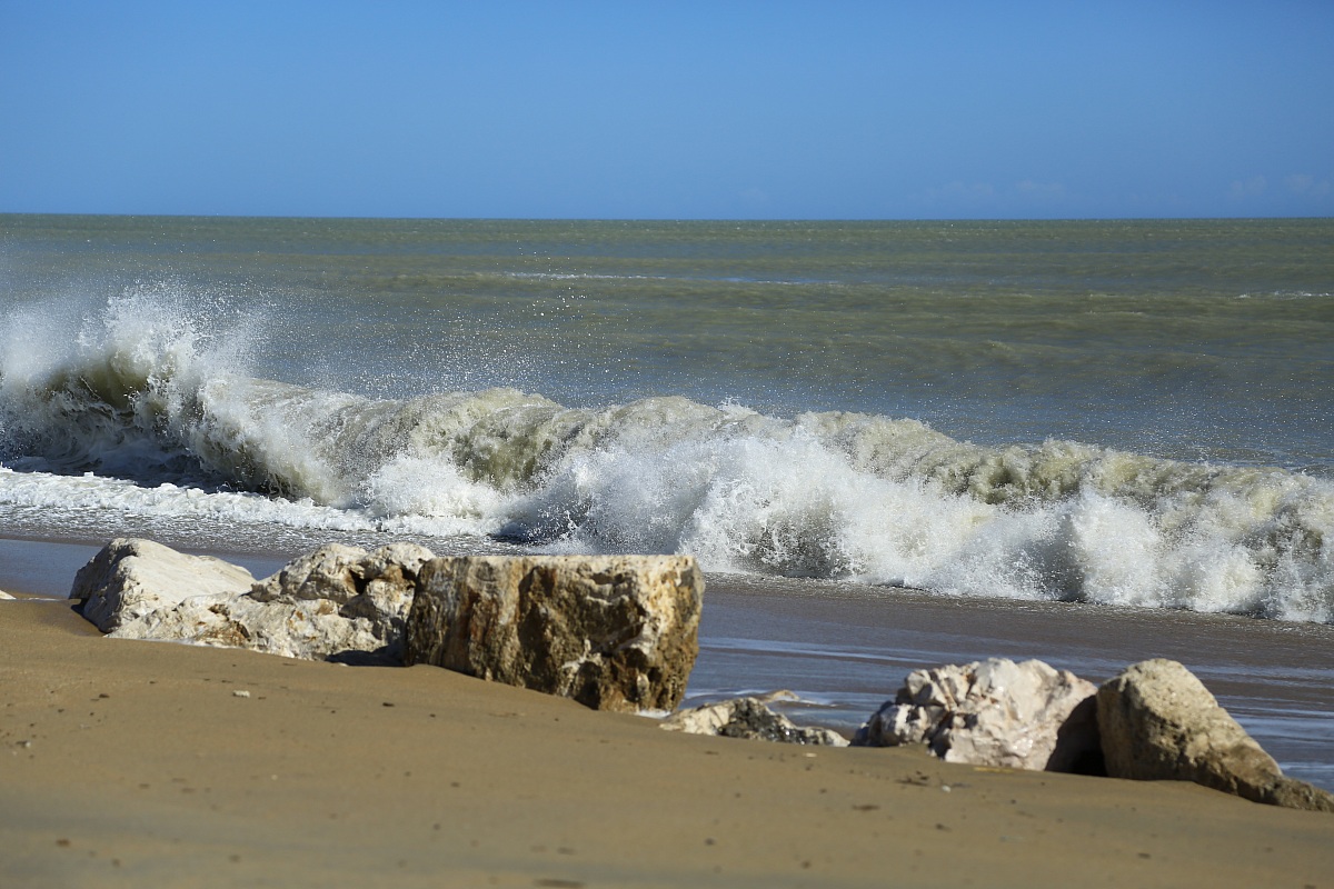 The beauty of the sea