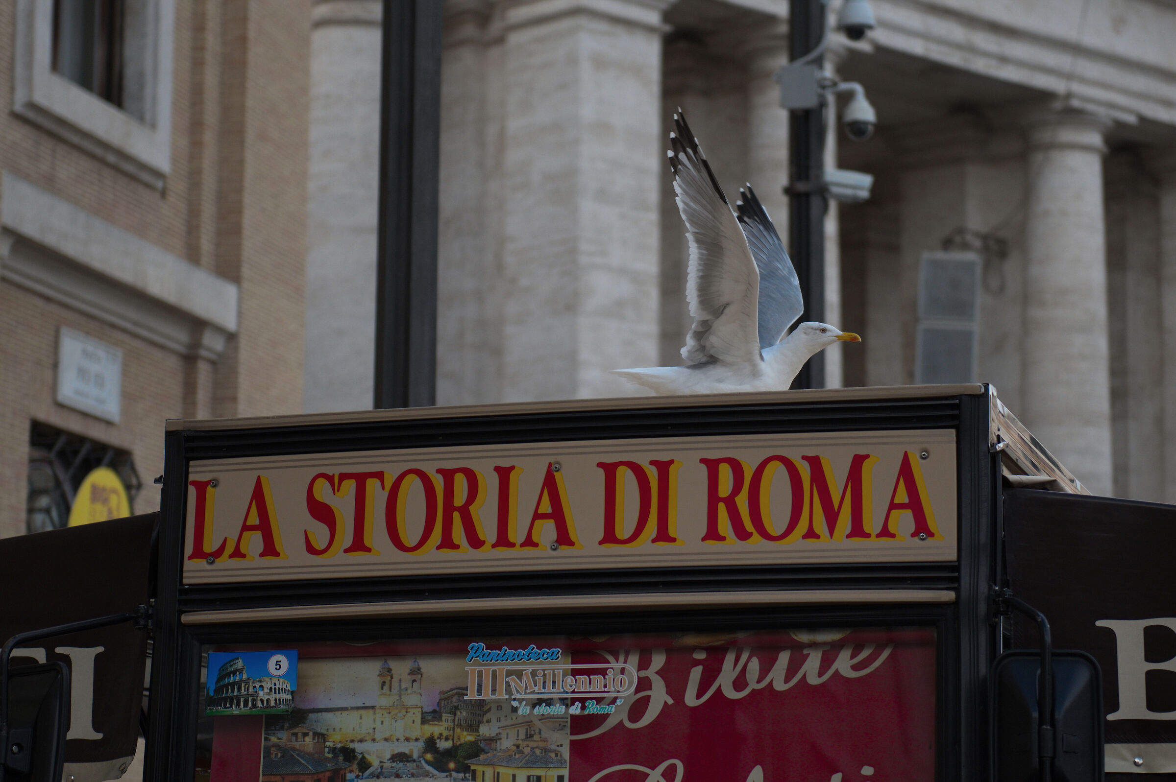 La Storia di Roma