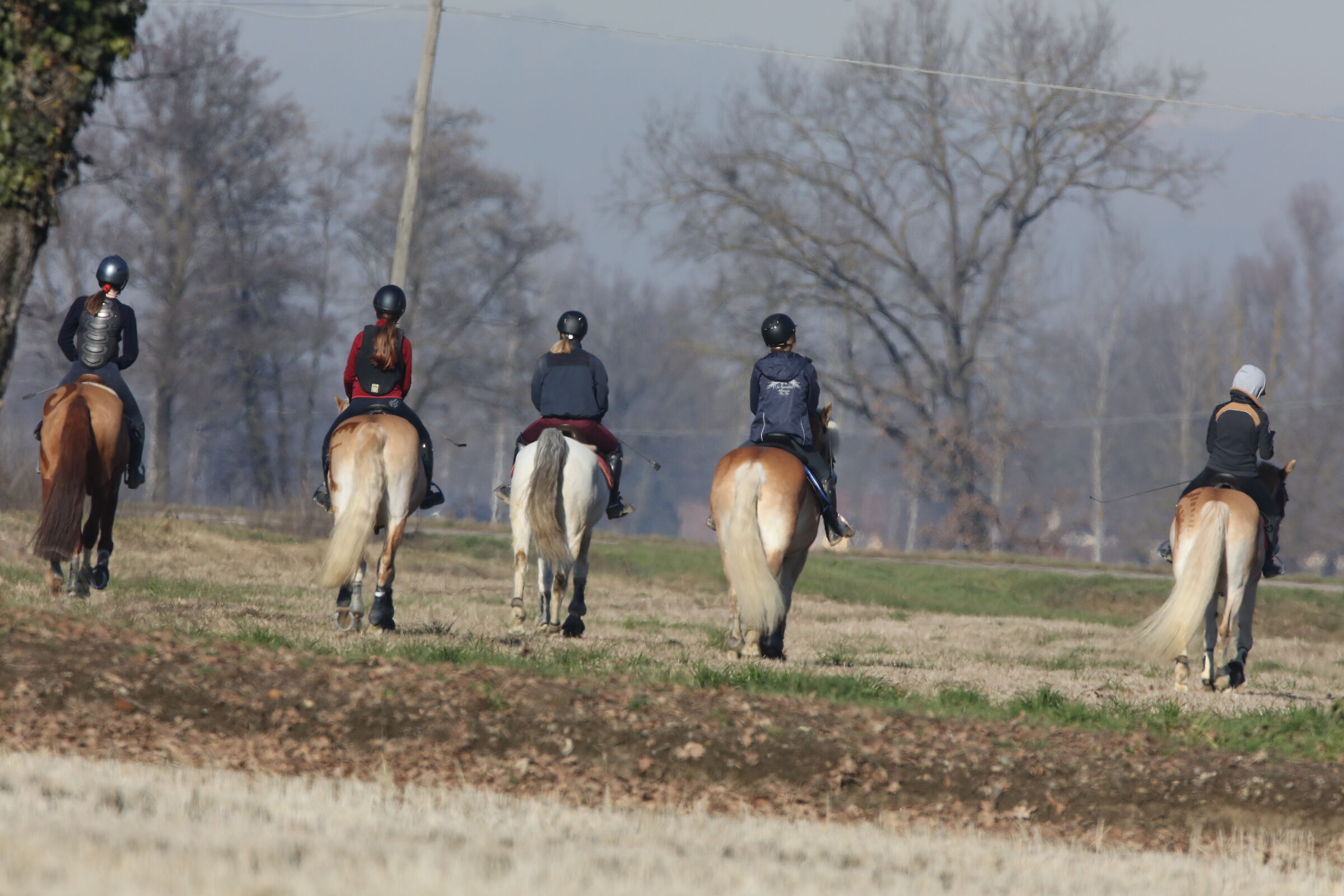 Giovani ragazze di primo pelo a cavallo