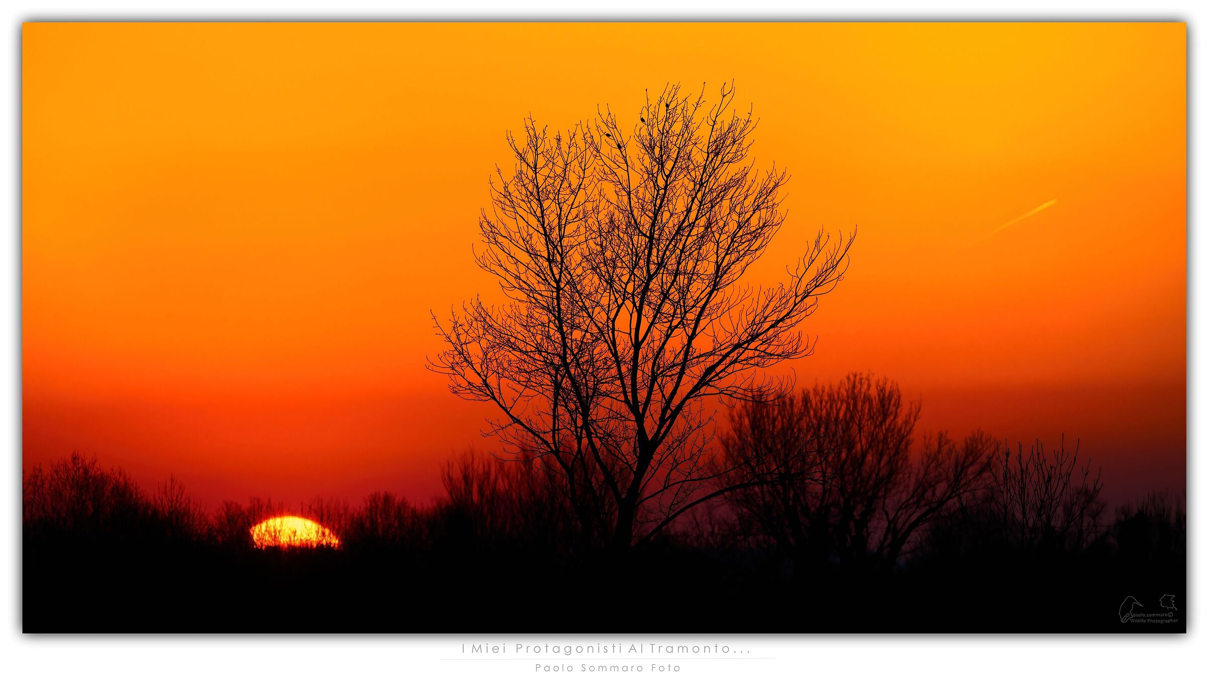 I miei protagonisti al tramonto...