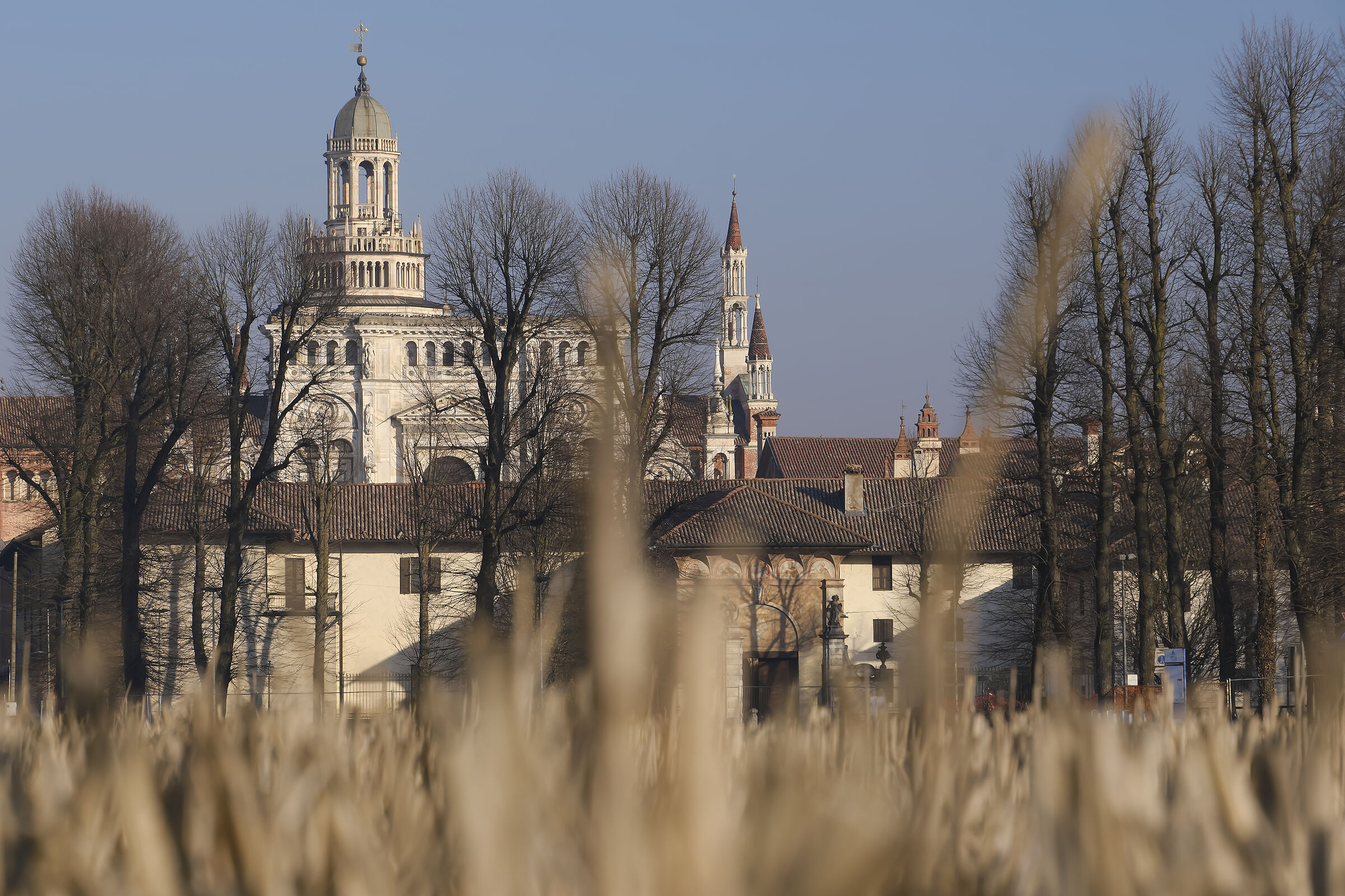 Certosa di Pavia