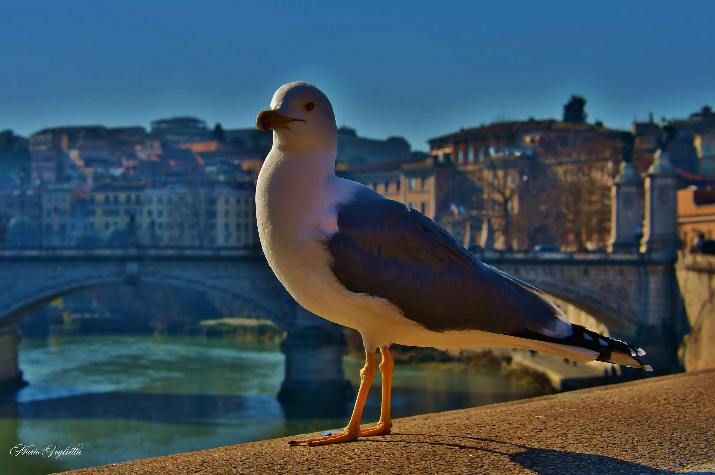 Ciao, anche io sono di Roma......