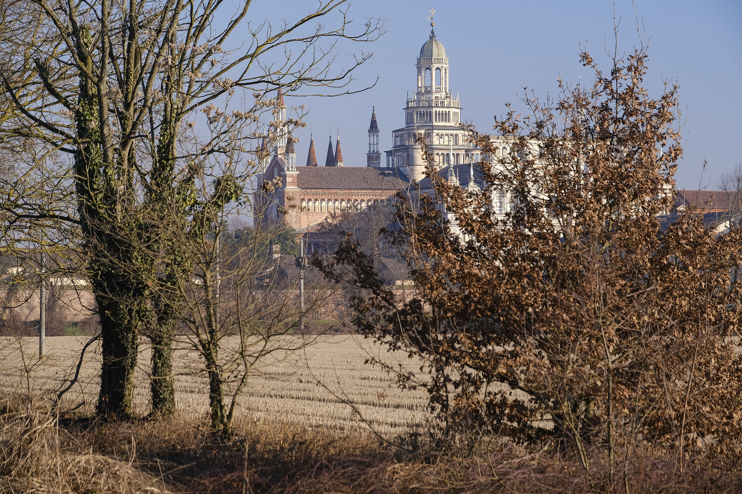 Charterhouse of Pavia