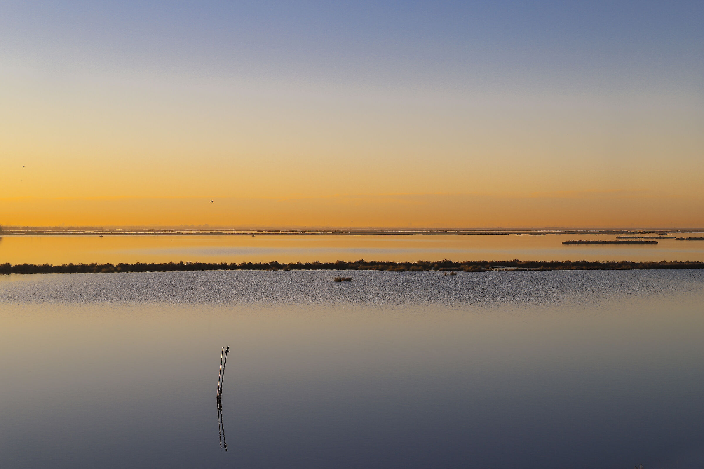 È un nuovo giorno ai Salsi di Caposile